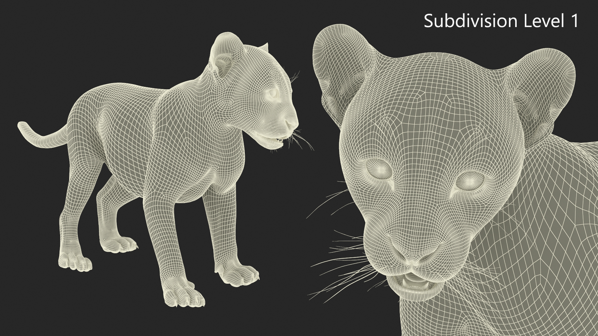 3D model Baby Leopard Cub Fur