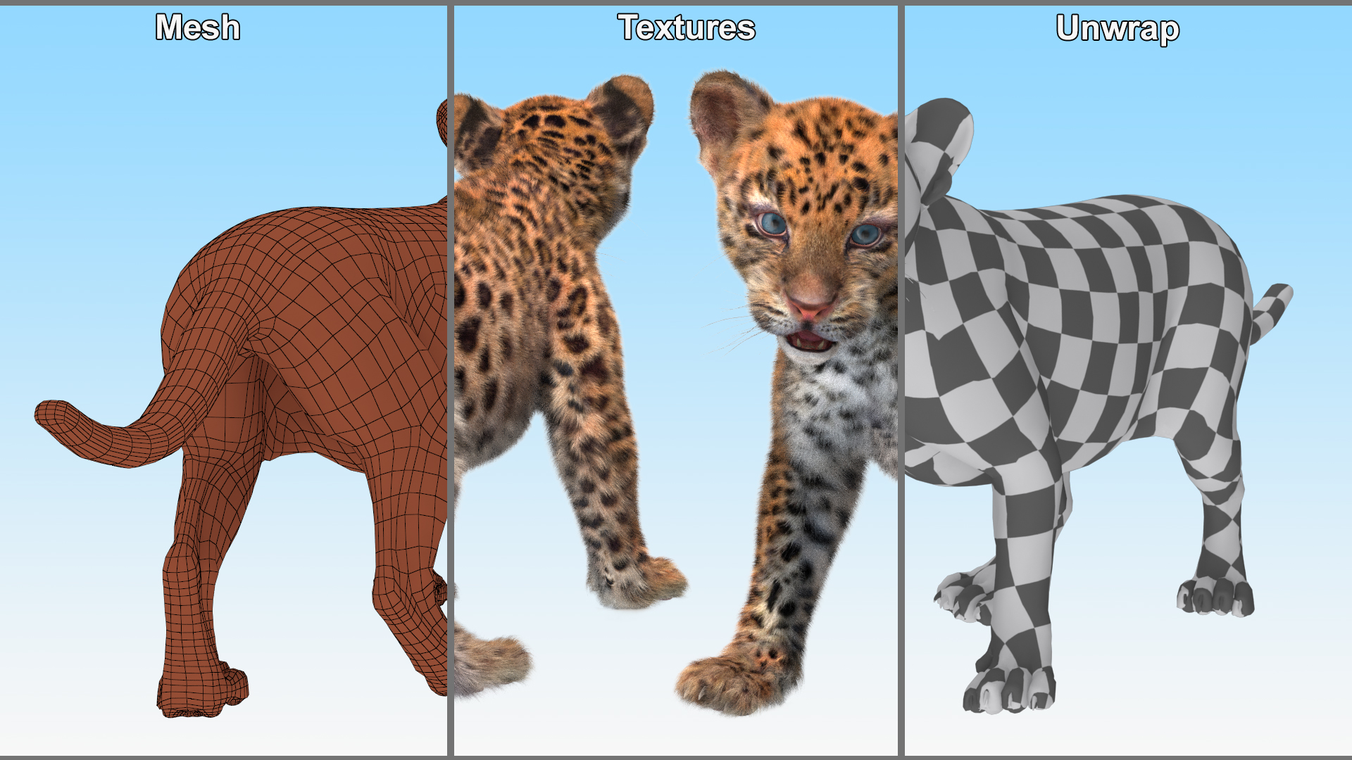 3D model Baby Leopard Cub Fur