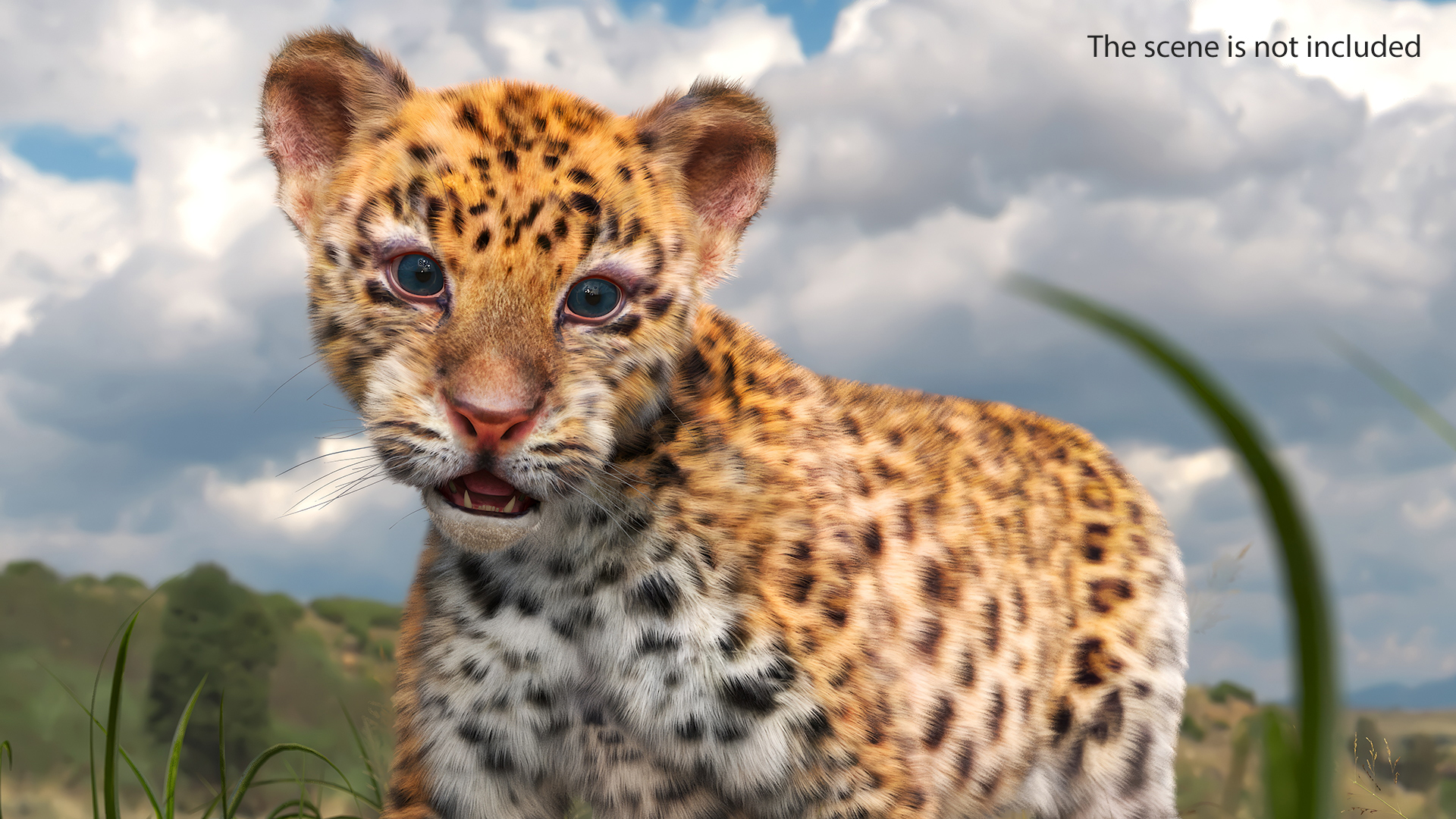 3D model Baby Leopard Cub Fur