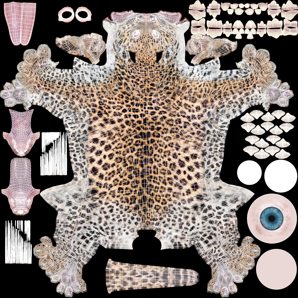 3D model Baby Leopard Cub Fur
