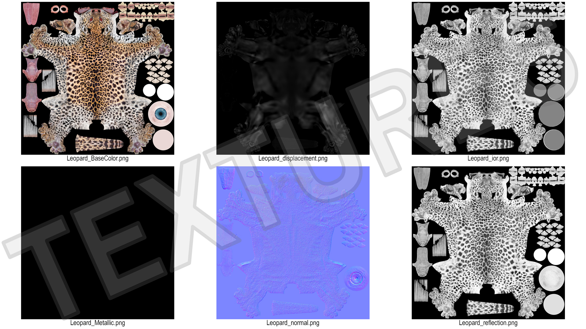 3D model Baby Leopard Cub Fur