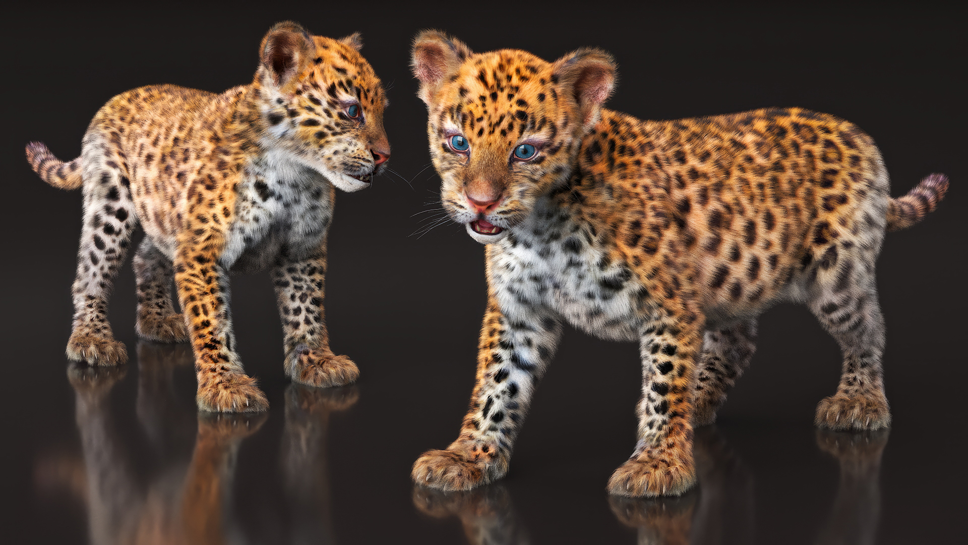 3D model Baby Leopard Cub Fur