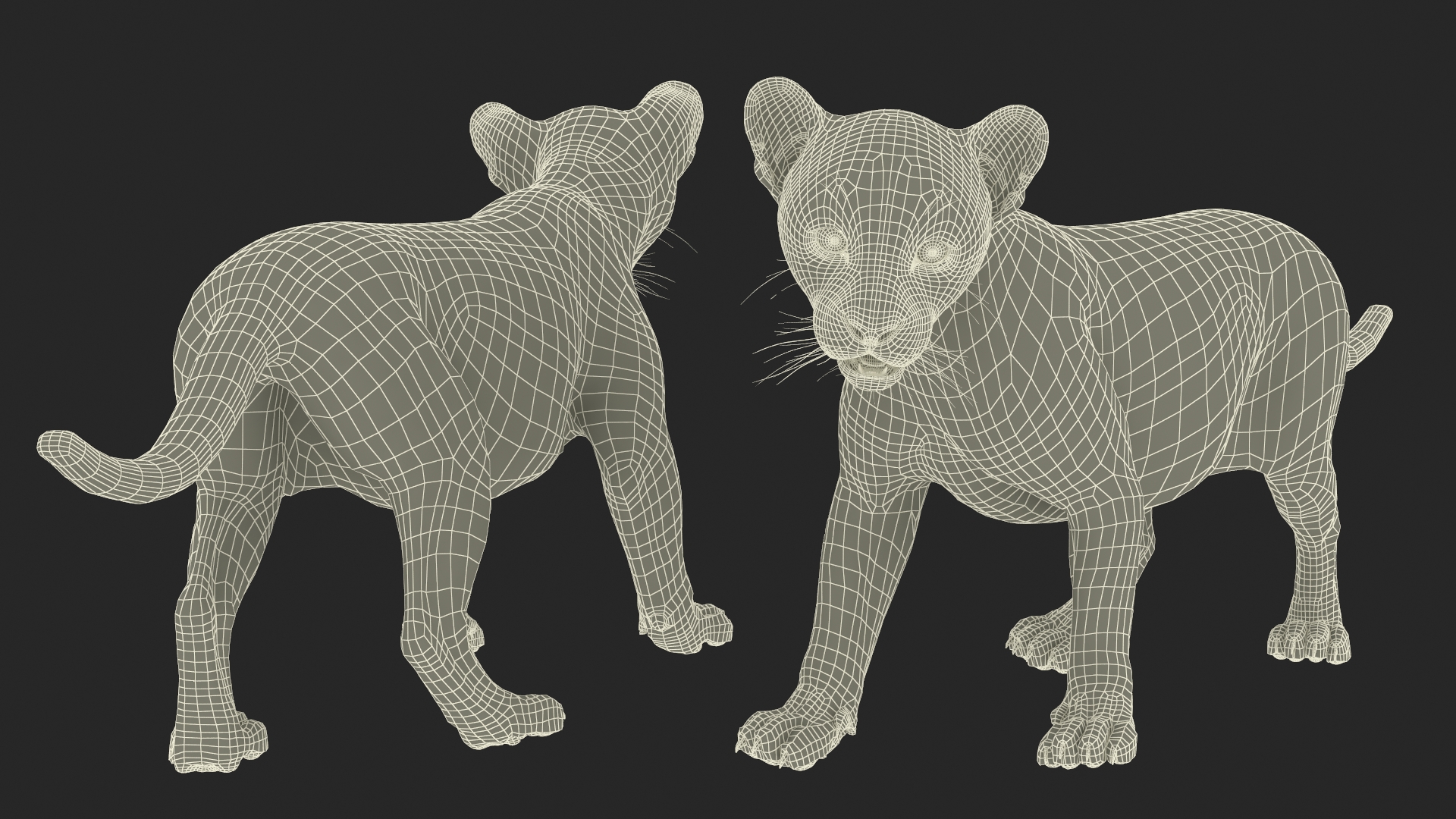 3D model Baby Leopard Cub Fur