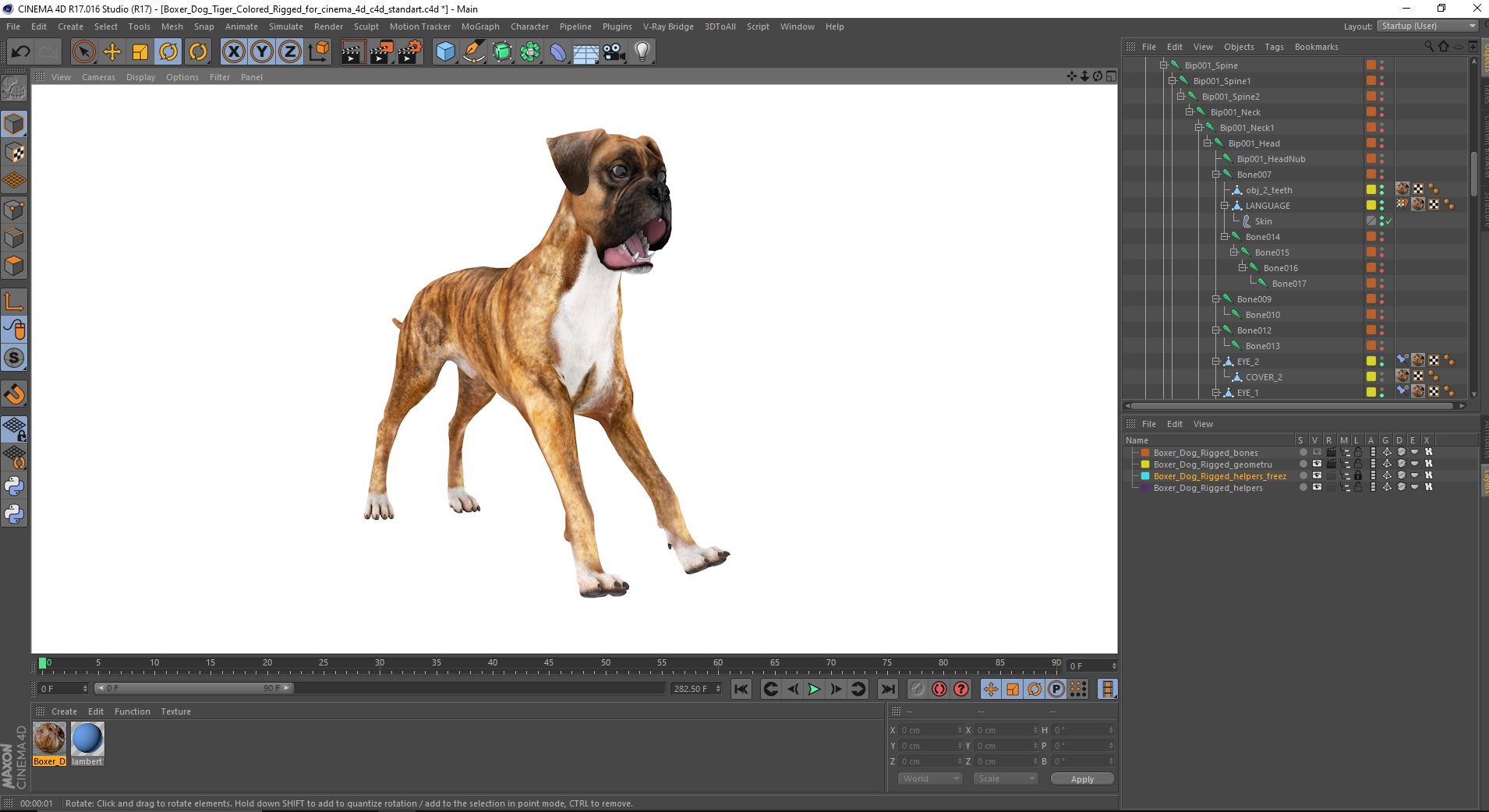 Boxer Dog Tiger Colored Rigged for Cinema 4D 3D model