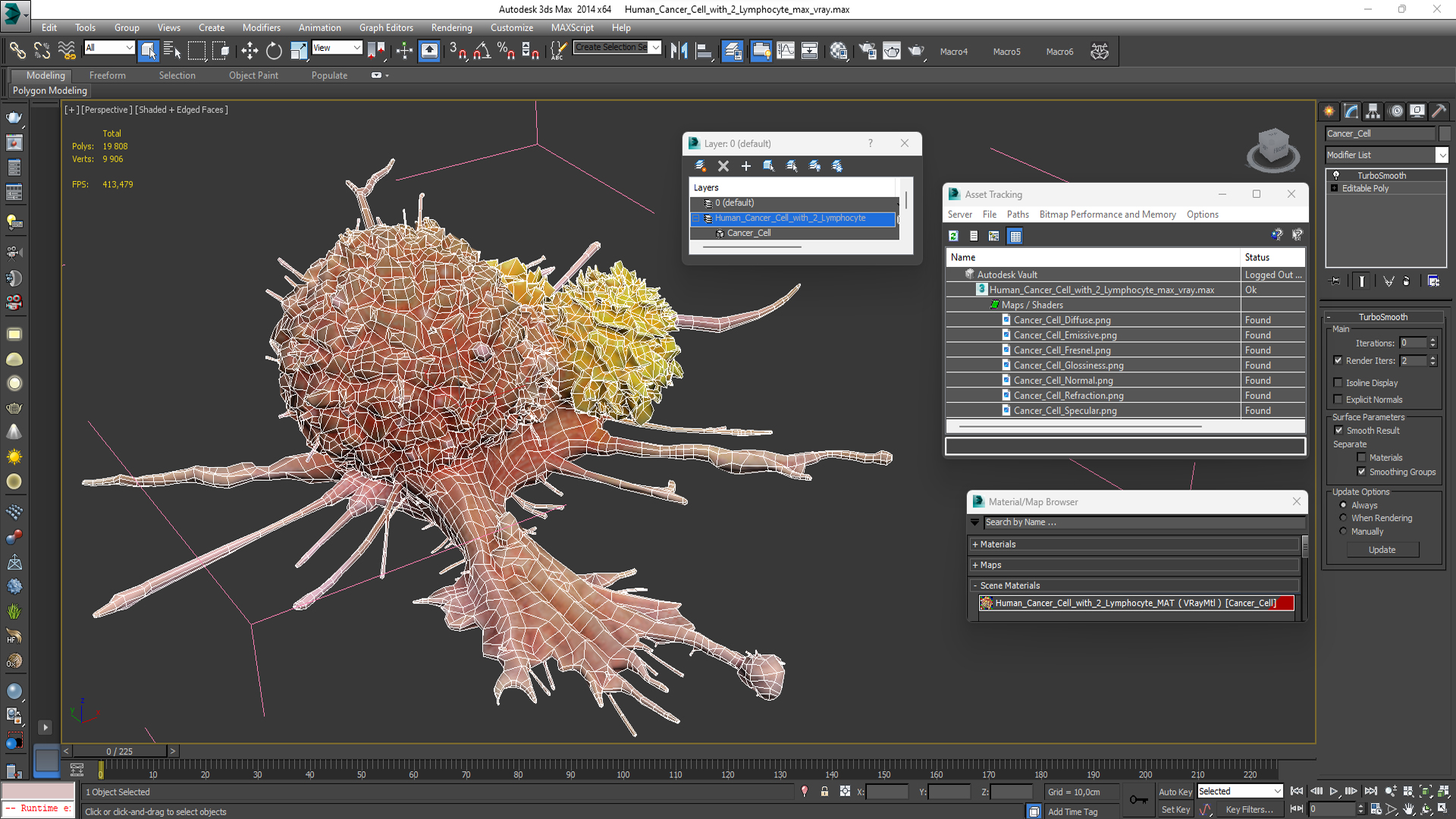 3D model Human Cancer Cell with 2 Lymphocyte