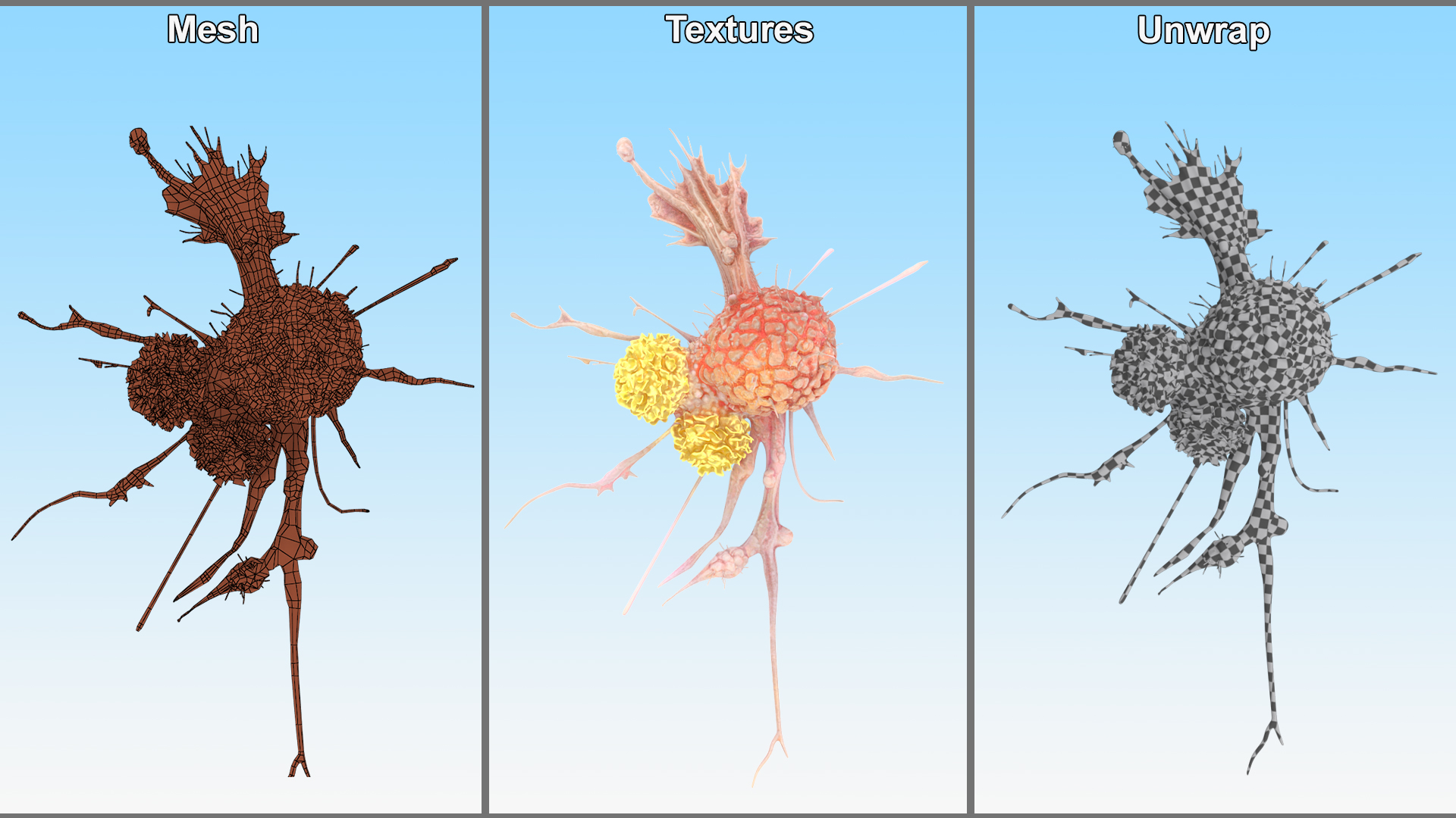 3D model Human Cancer Cell with 2 Lymphocyte