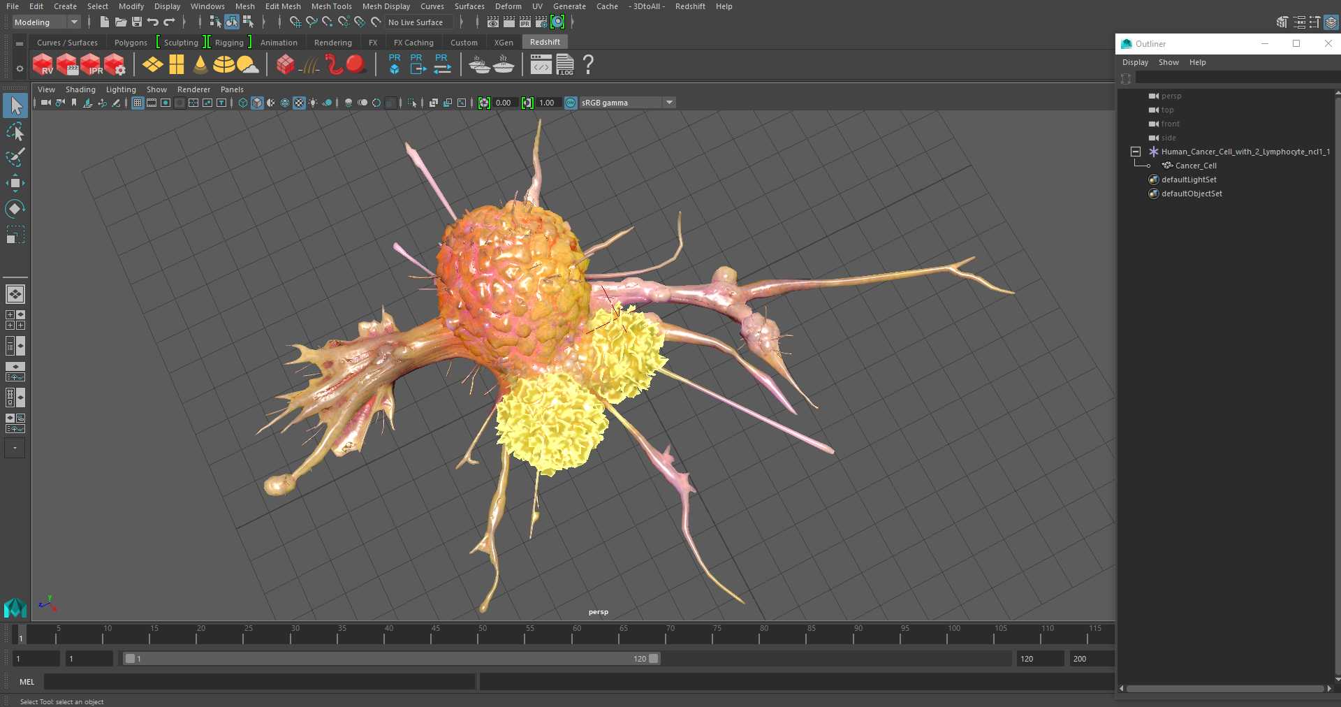 3D model Human Cancer Cell with 2 Lymphocyte
