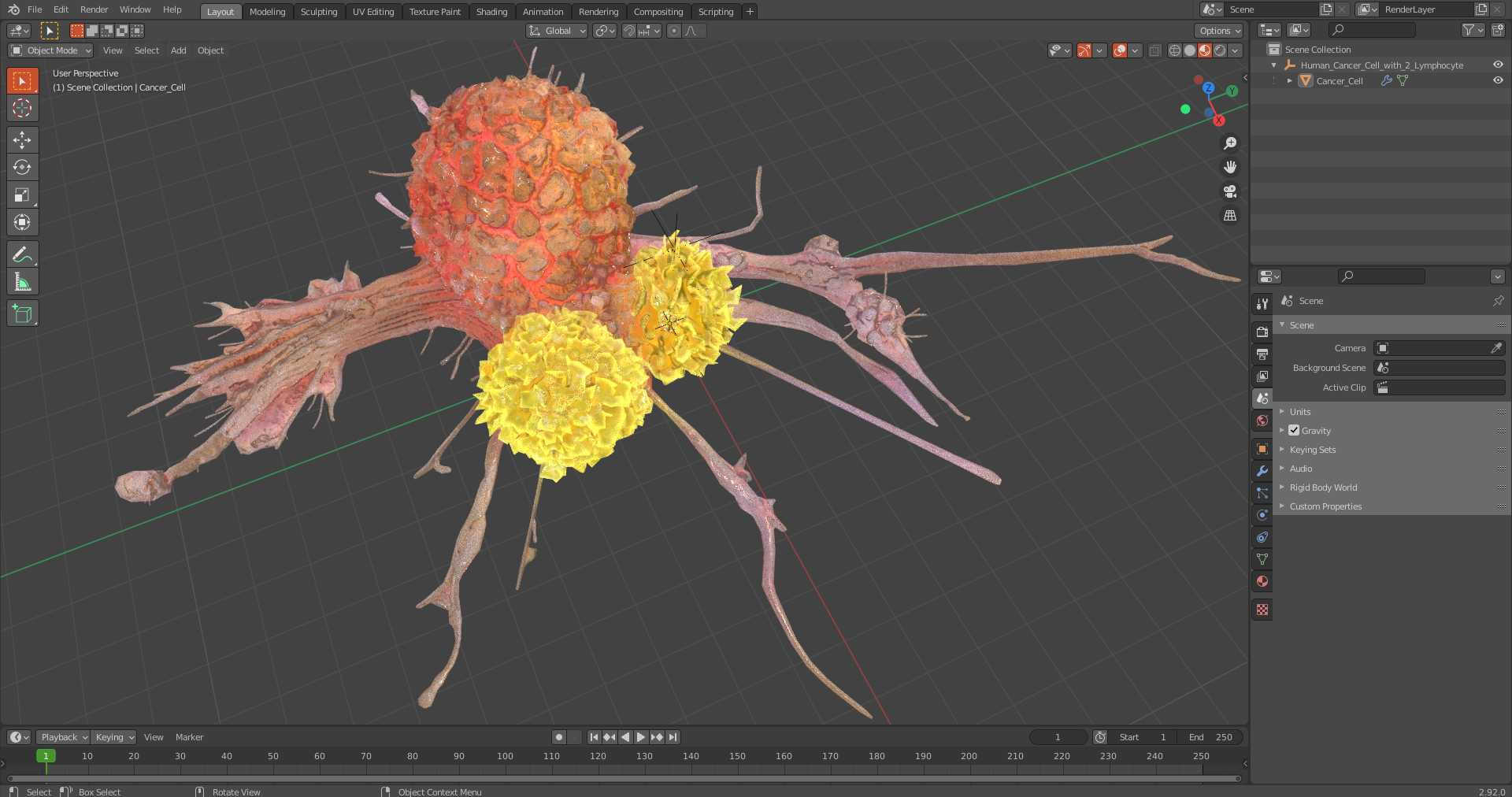 3D model Human Cancer Cell with 2 Lymphocyte