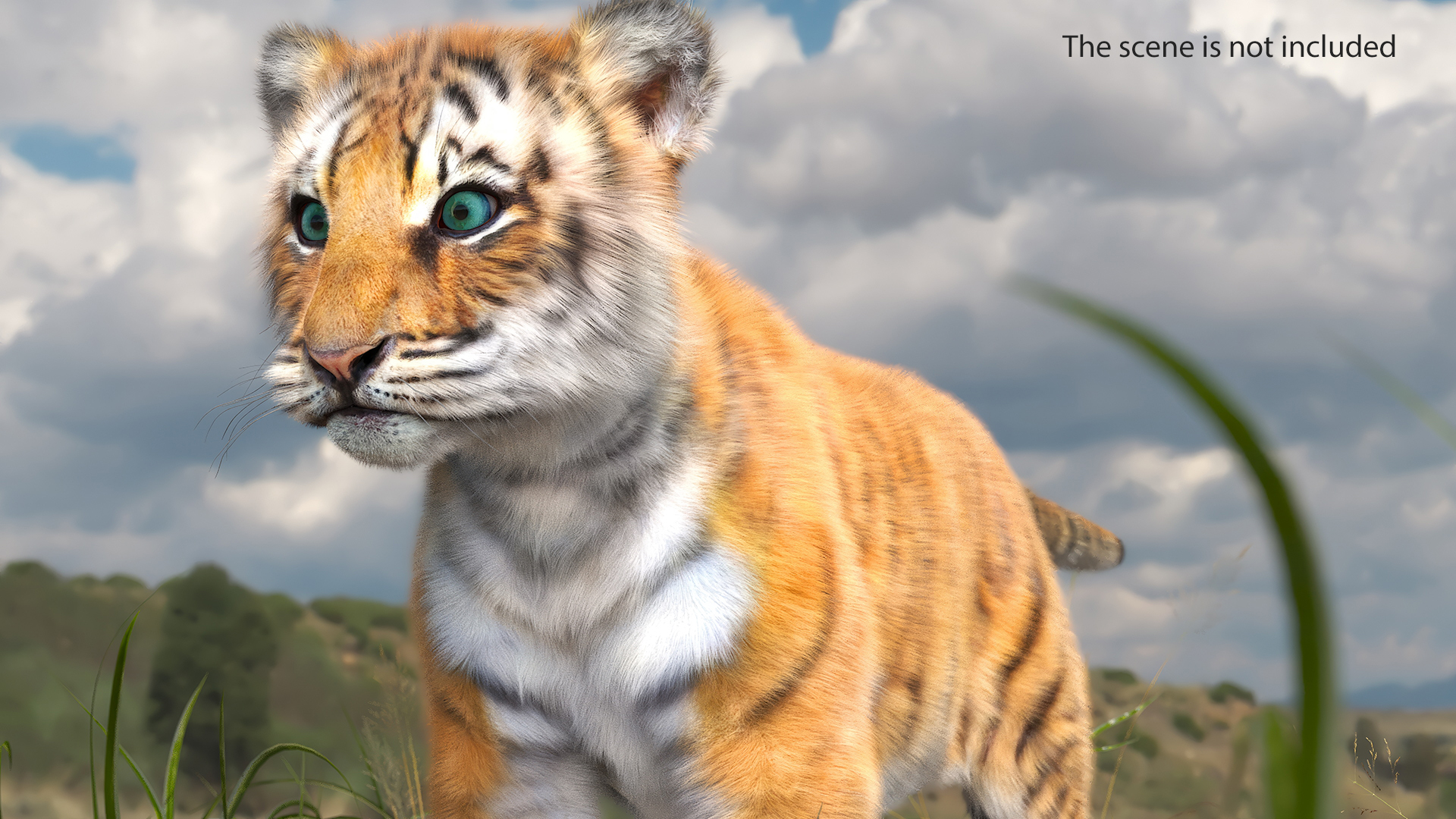 3D model Tiger Cub Fur Rigged
