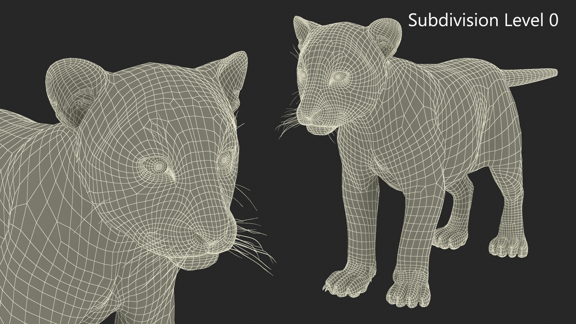 3D model Tiger Cub Fur Rigged