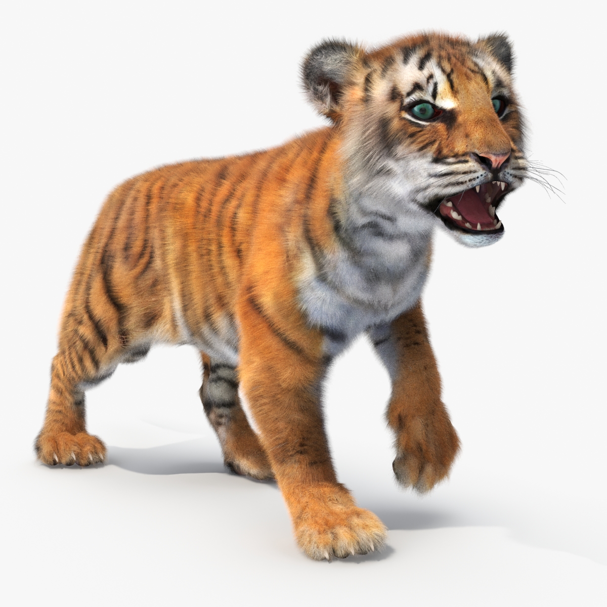 3D model Tiger Cub Fur Rigged
