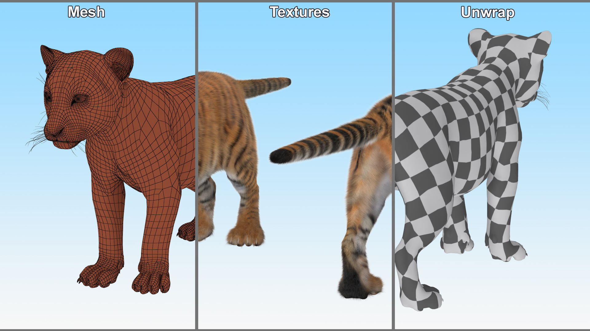 3D model Tiger Cub Fur Rigged