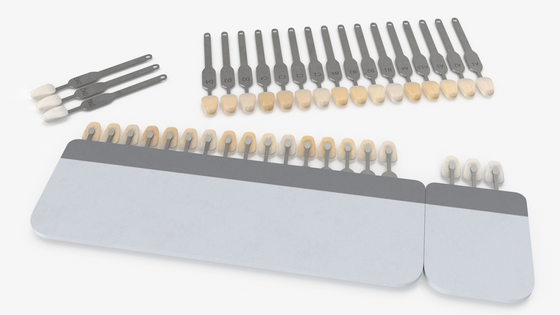 3D VITA Classical Dental Shade Guide model