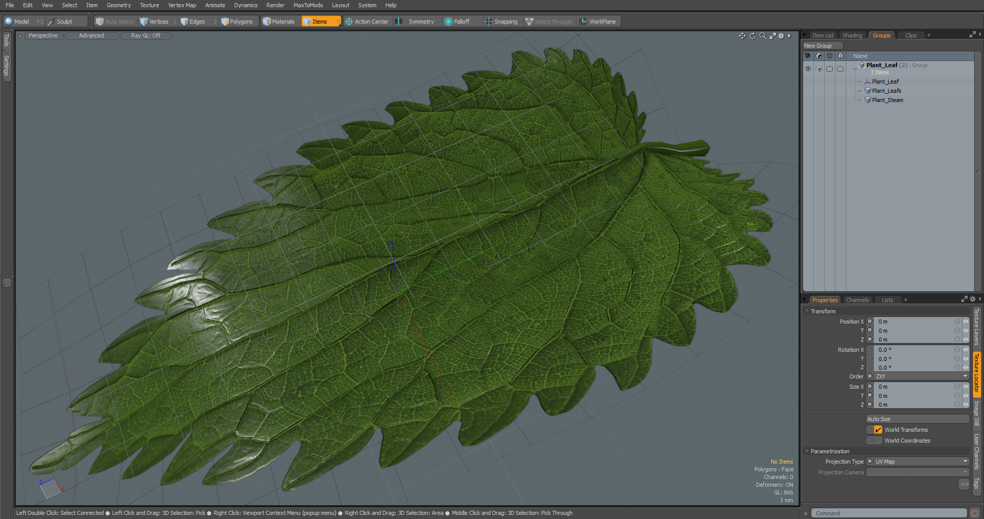 3D model Plant Leaf