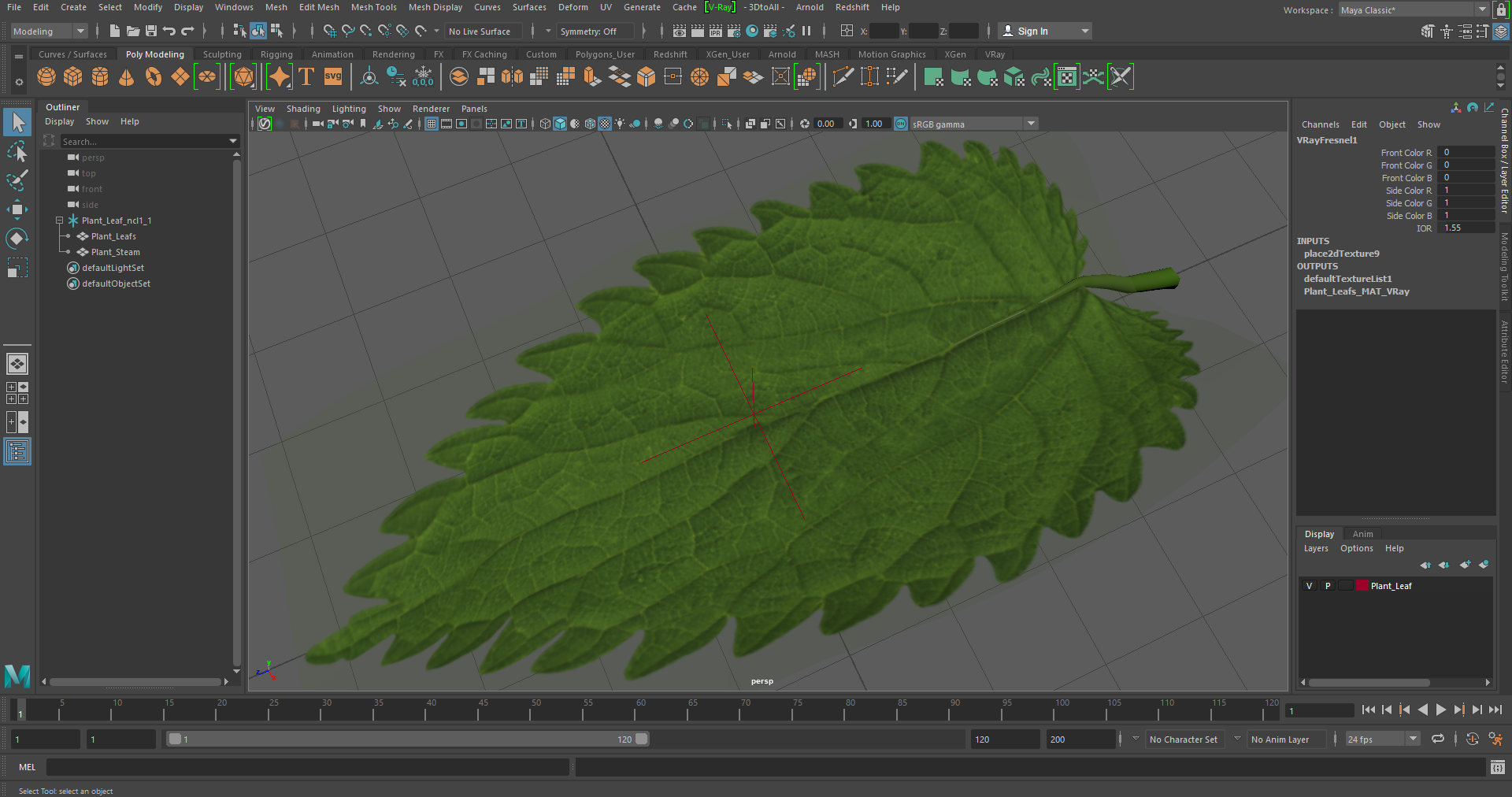 3D model Plant Leaf