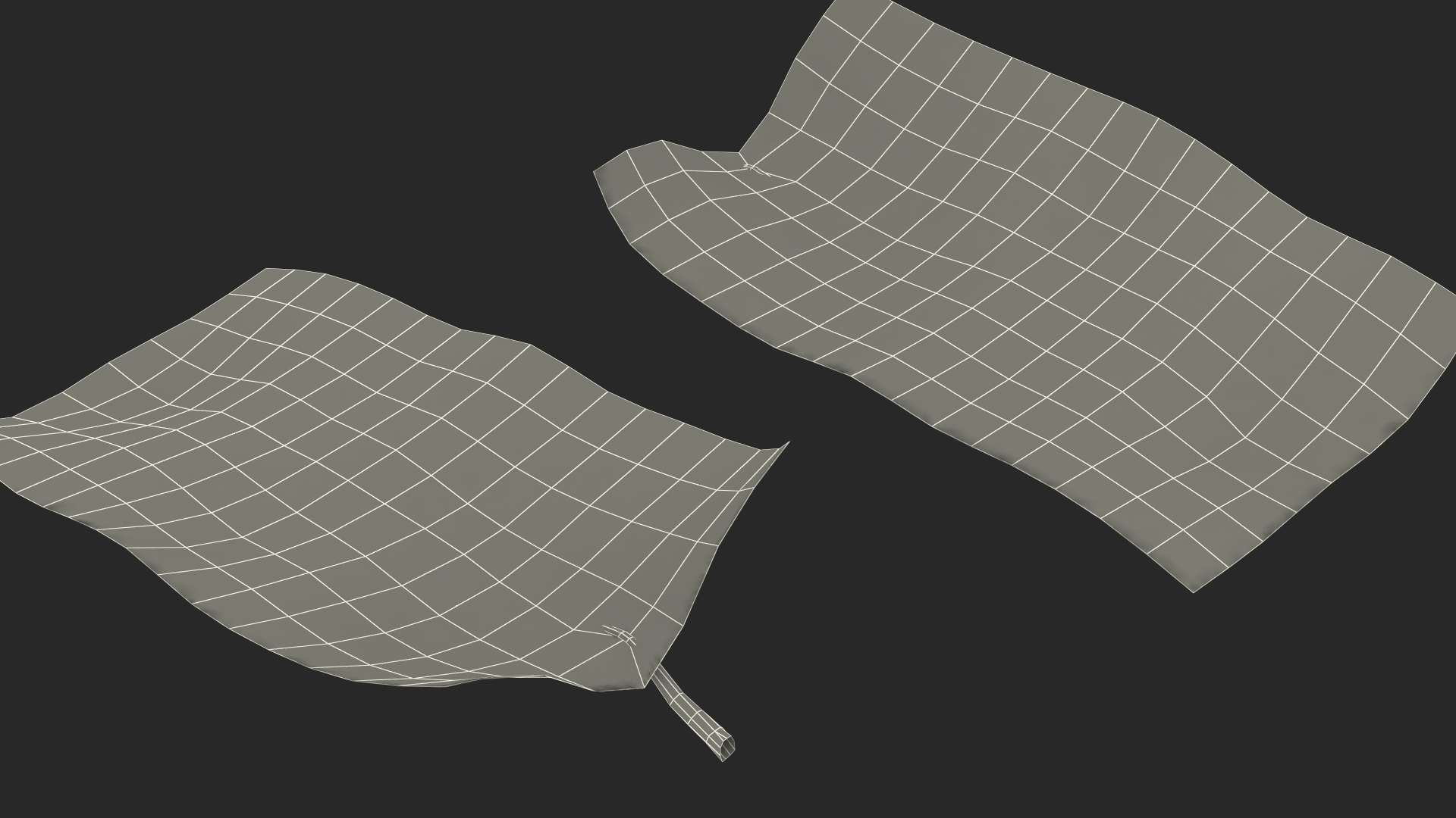 3D model Plant Leaf