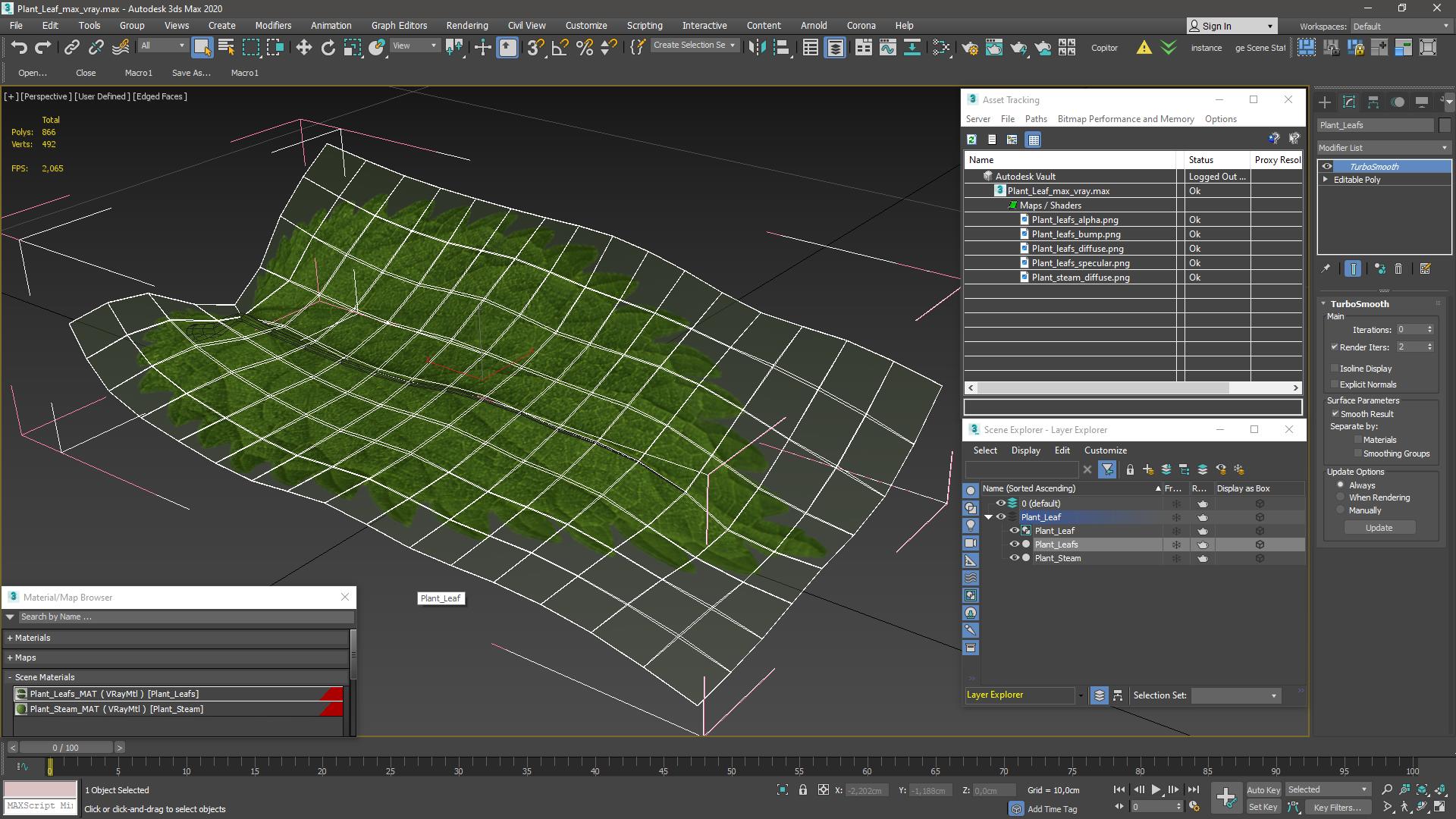 3D model Plant Leaf