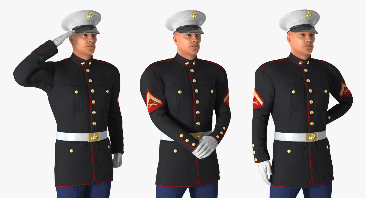 3D US Marine Corps Soldier in Parade Uniform Rigged model