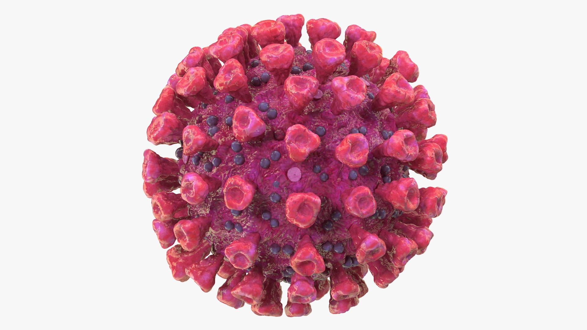 Coronavirus 2019-nCoV SARS-CoV-2 3D
