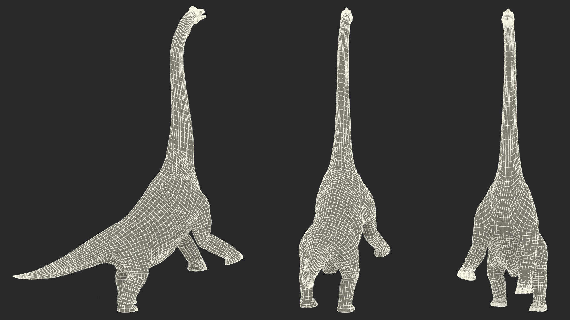 Brachiosaurus Altithorax 3D model