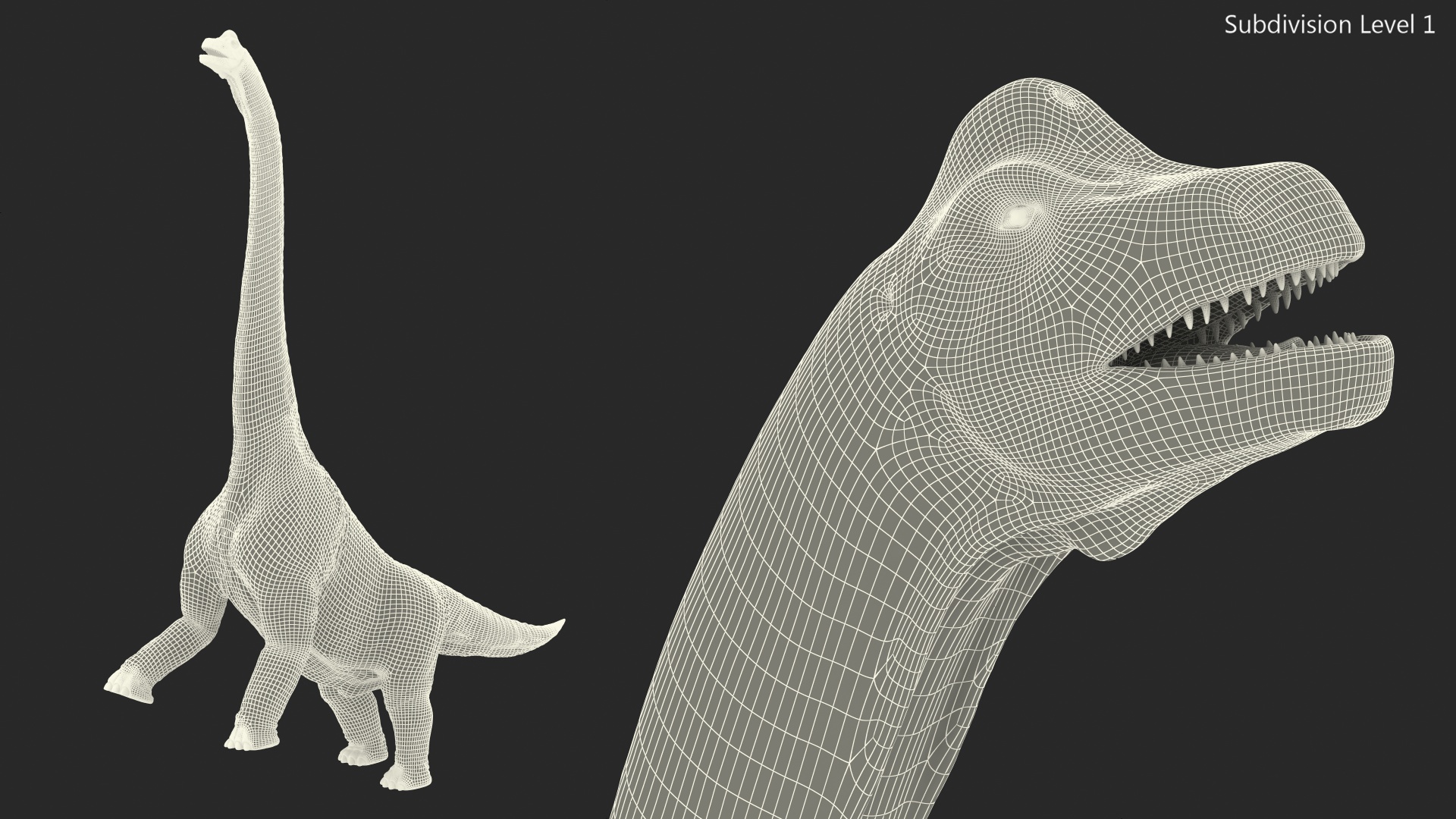 Brachiosaurus Altithorax 3D model