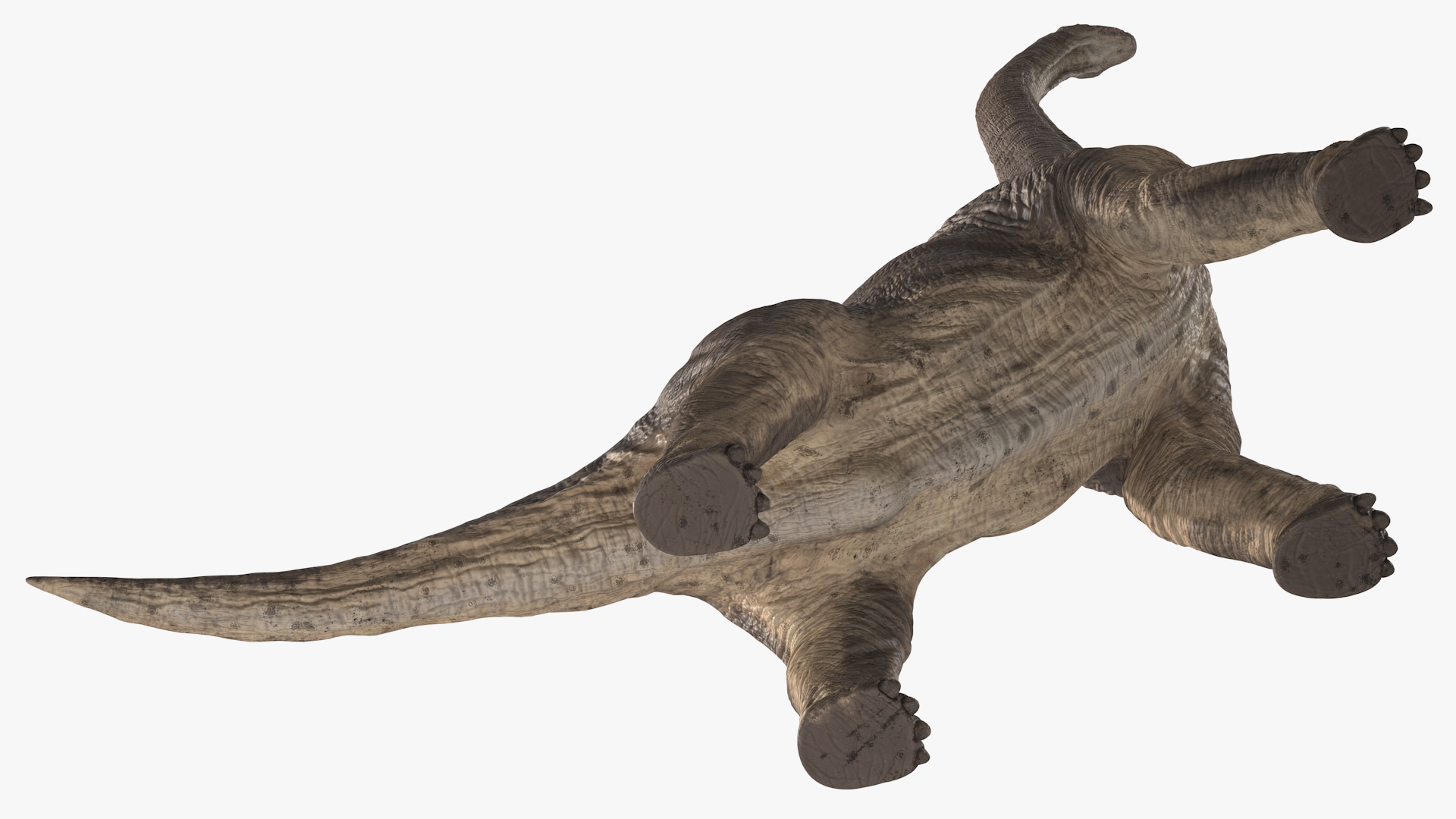 Brachiosaurus Altithorax 3D model