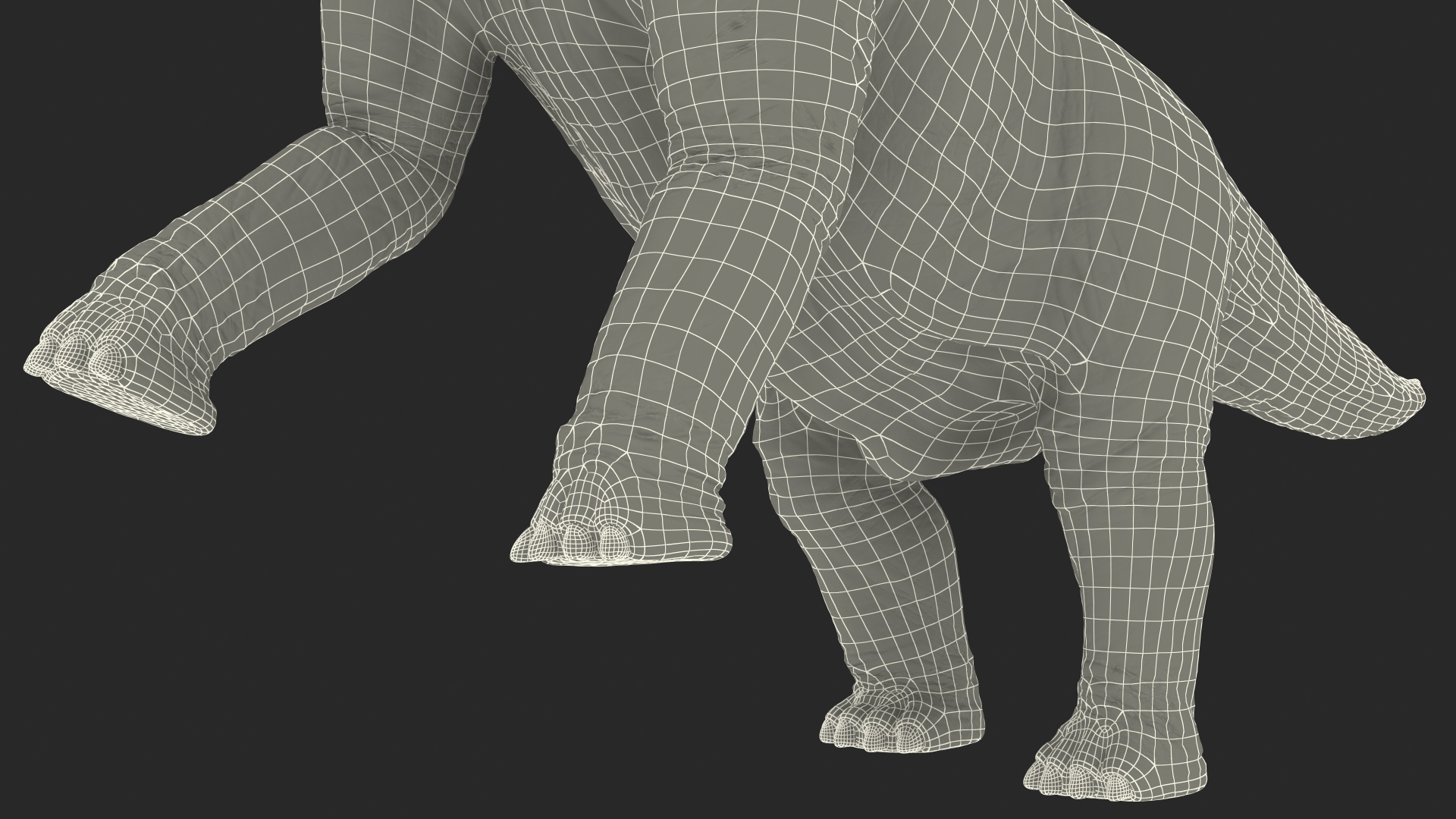 Brachiosaurus Altithorax 3D model