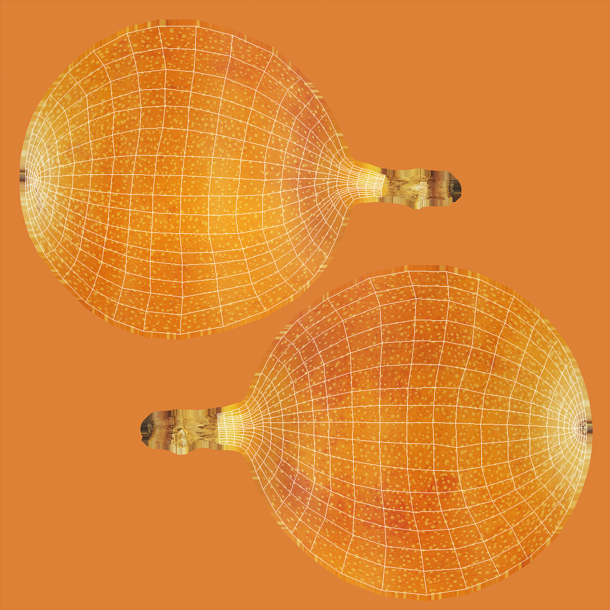 3D Exotic Fruit Granadilla model