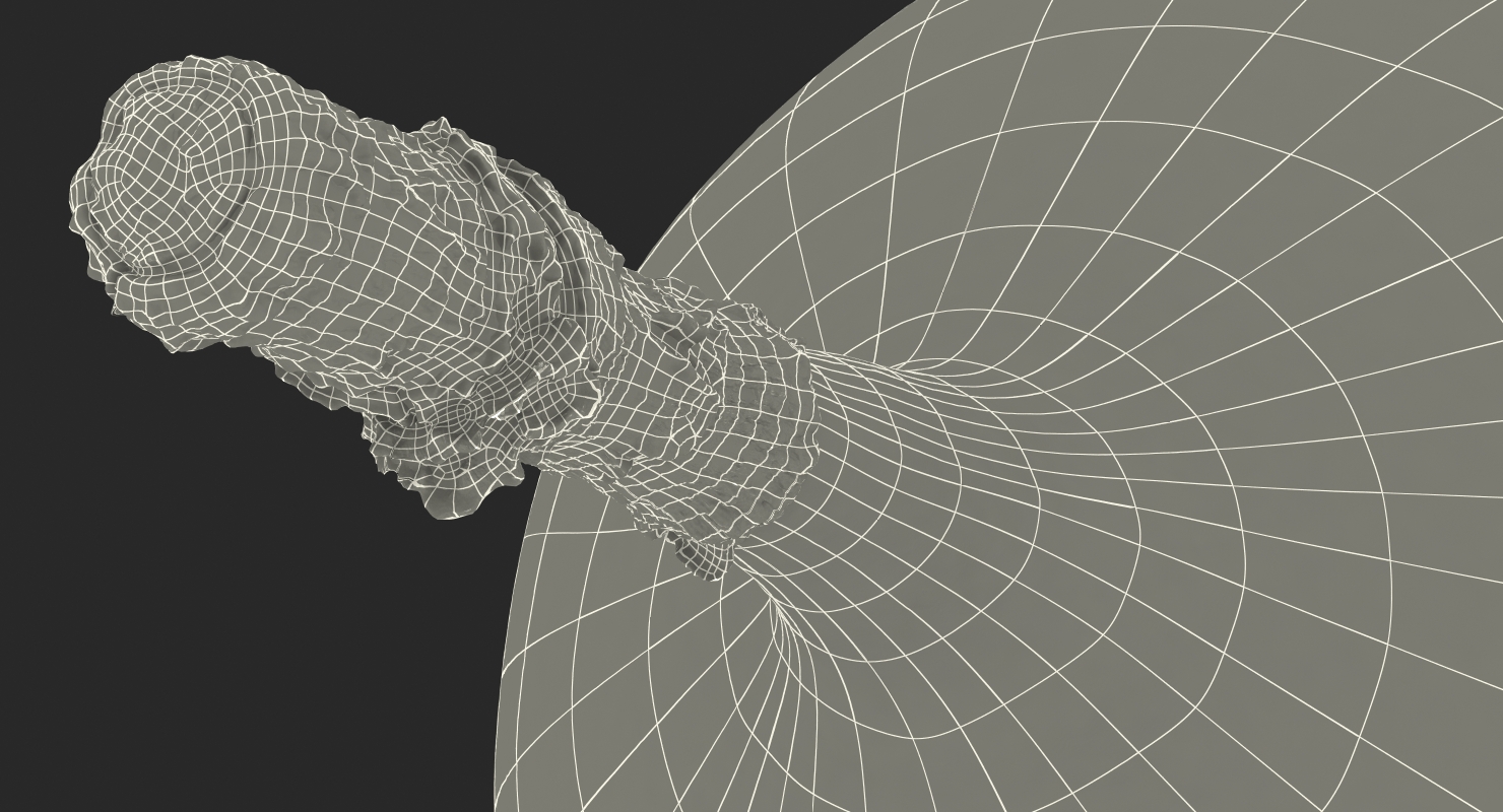 3D Exotic Fruit Granadilla model