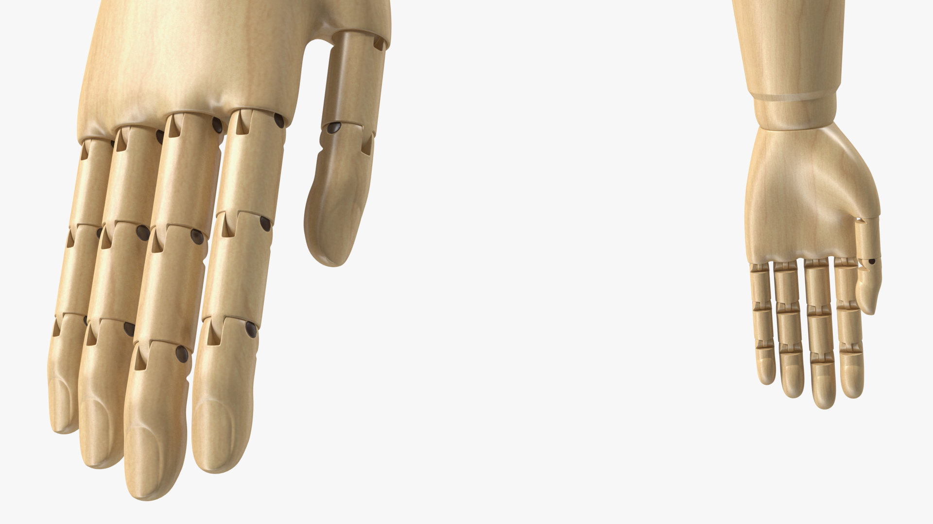 Male Flexible Half Body Mannequin Torso 3D model
