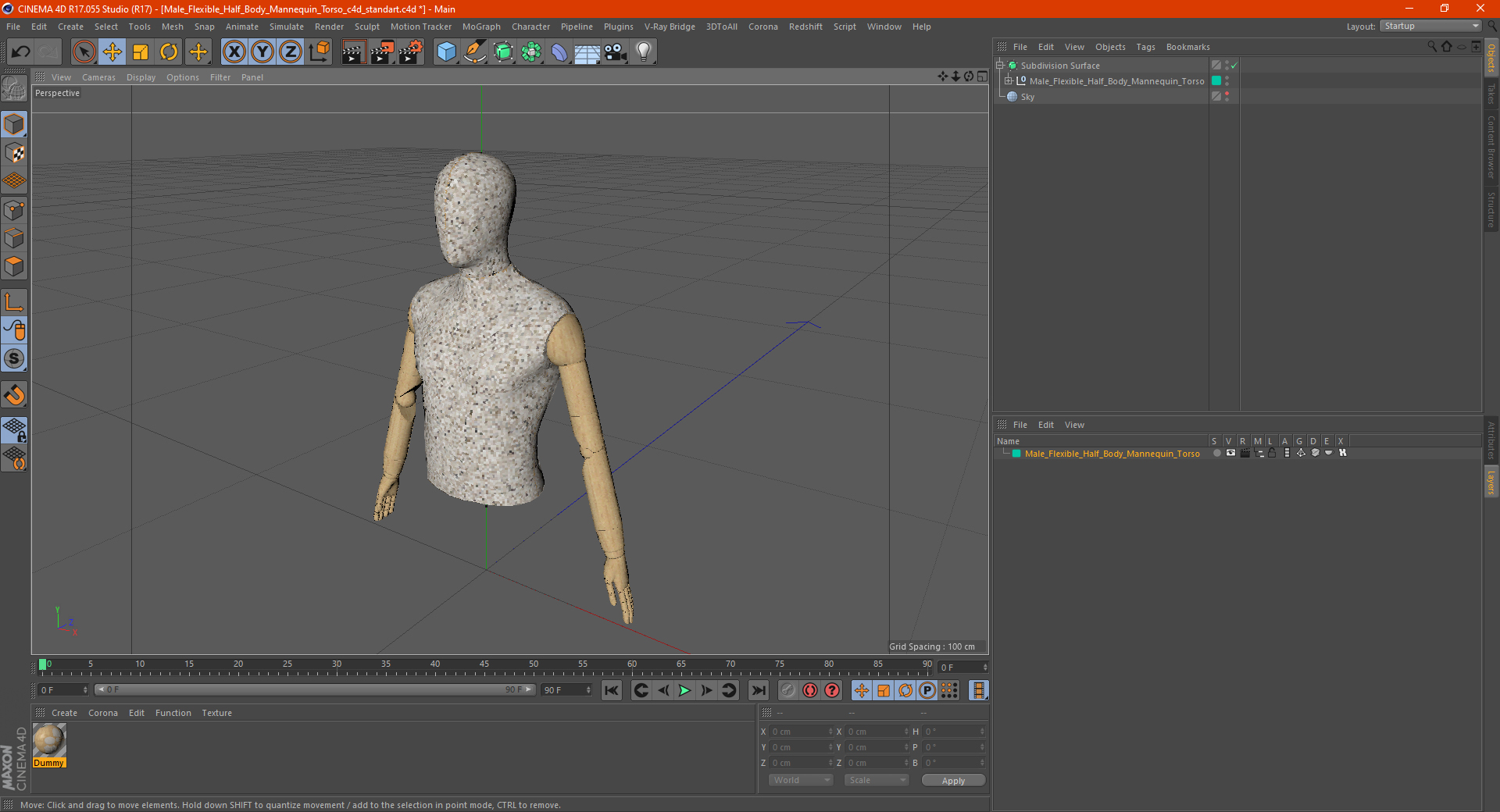 Male Flexible Half Body Mannequin Torso 3D model