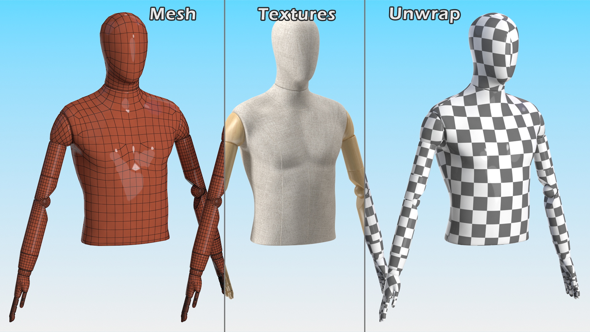 Male Flexible Half Body Mannequin Torso 3D model