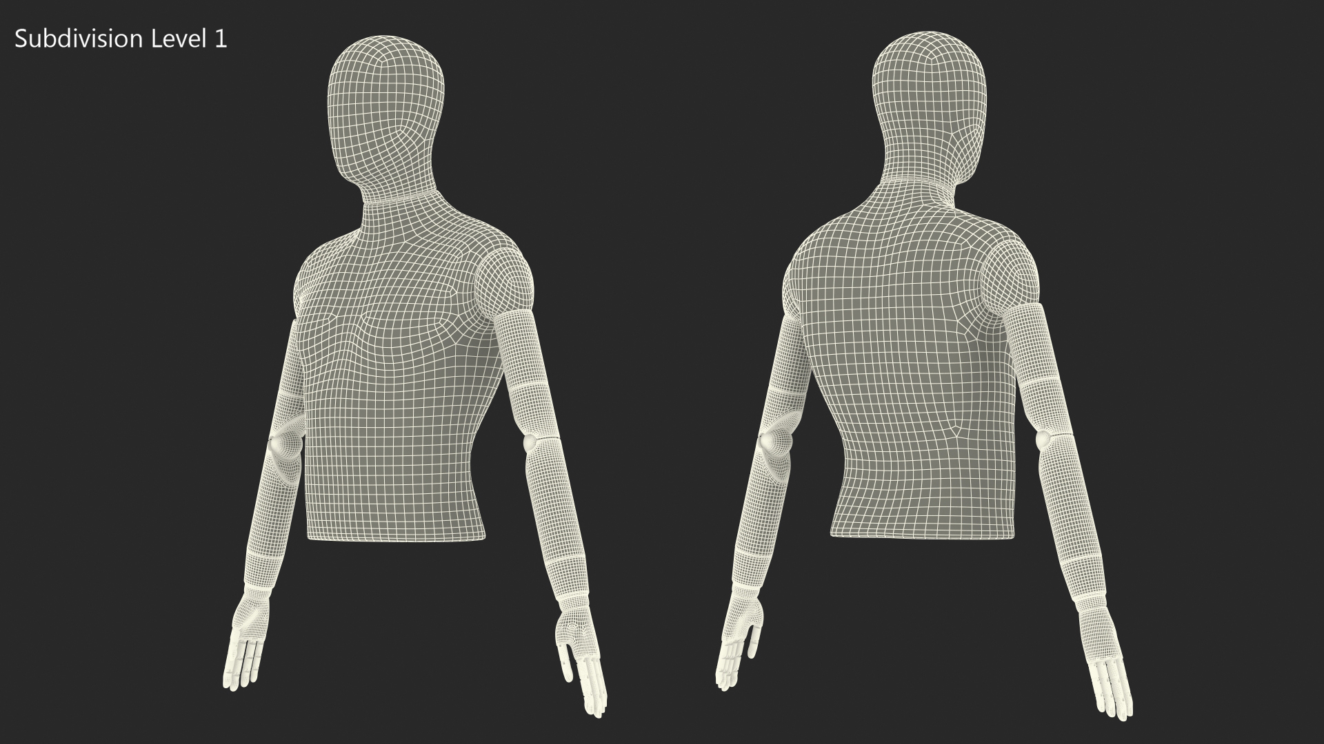 Male Flexible Half Body Mannequin Torso 3D model