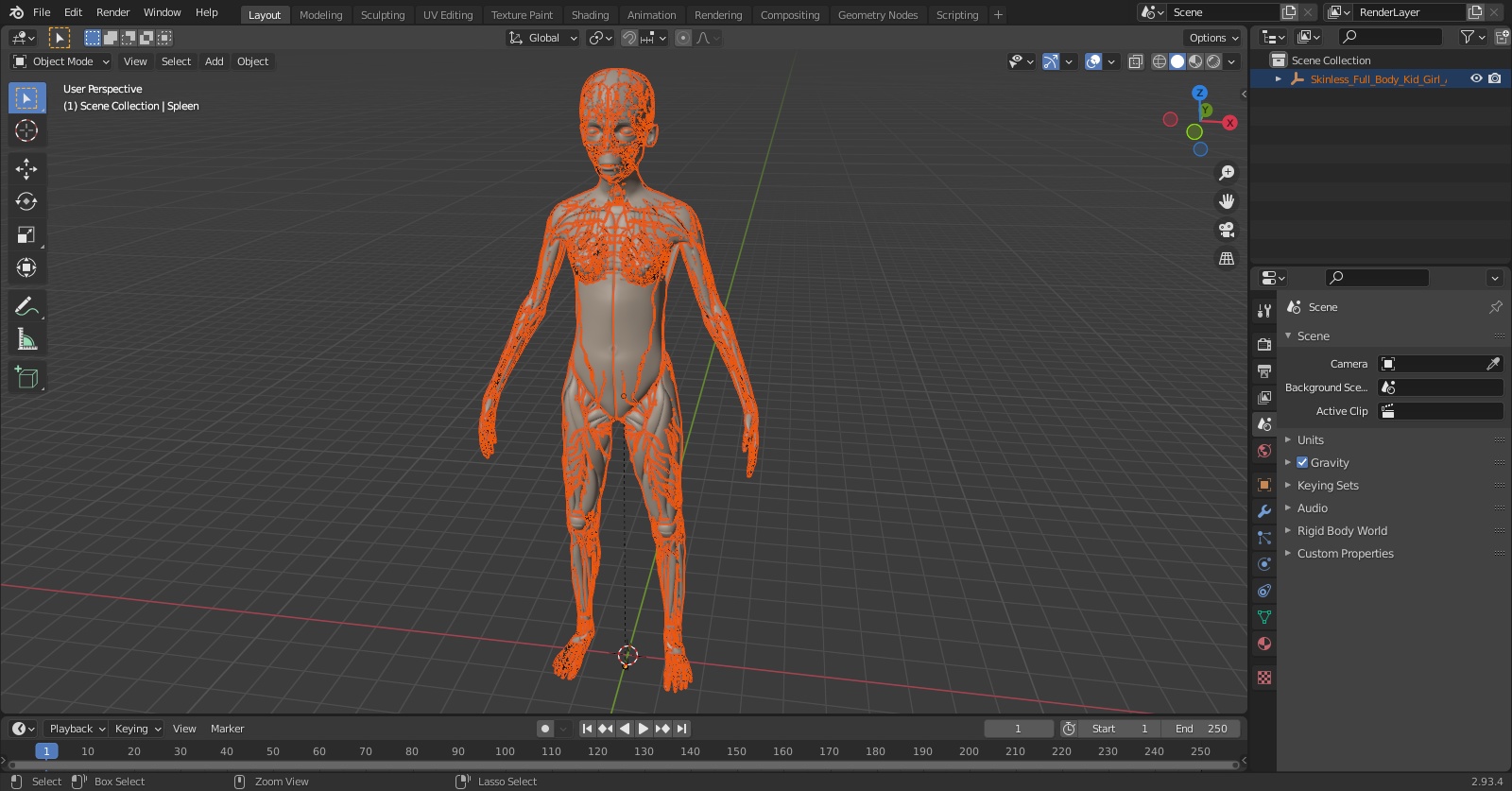 3D model Skinless Full Body Kid Girl Anatomy