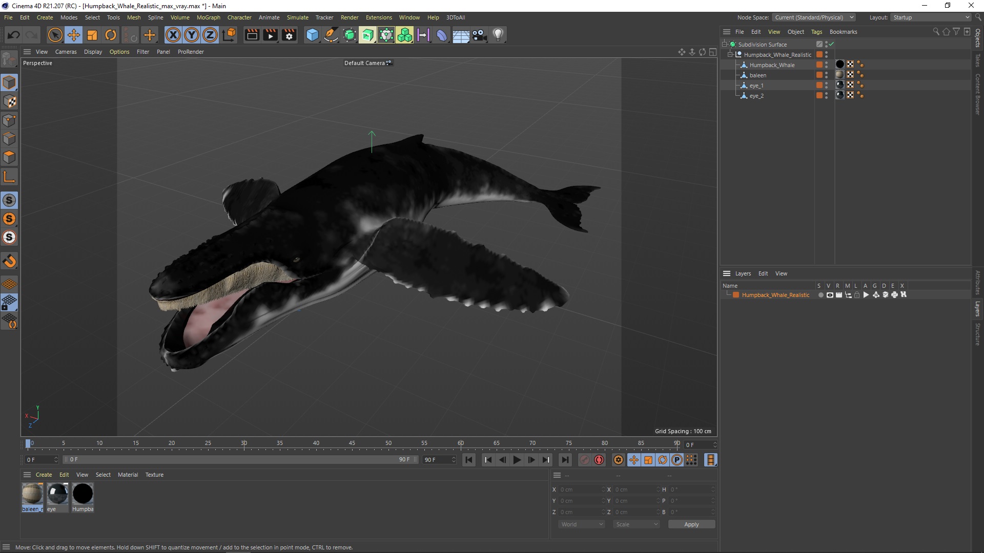 Humpback Whale Realistic 3D model