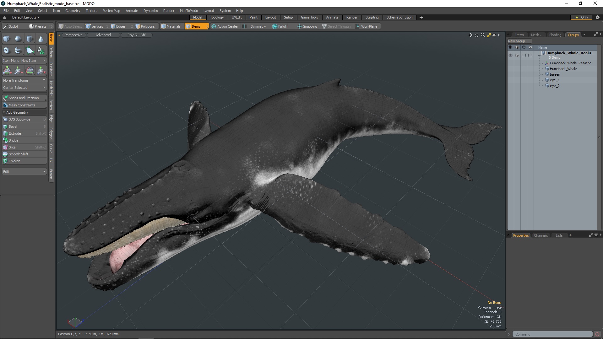 Humpback Whale Realistic 3D model