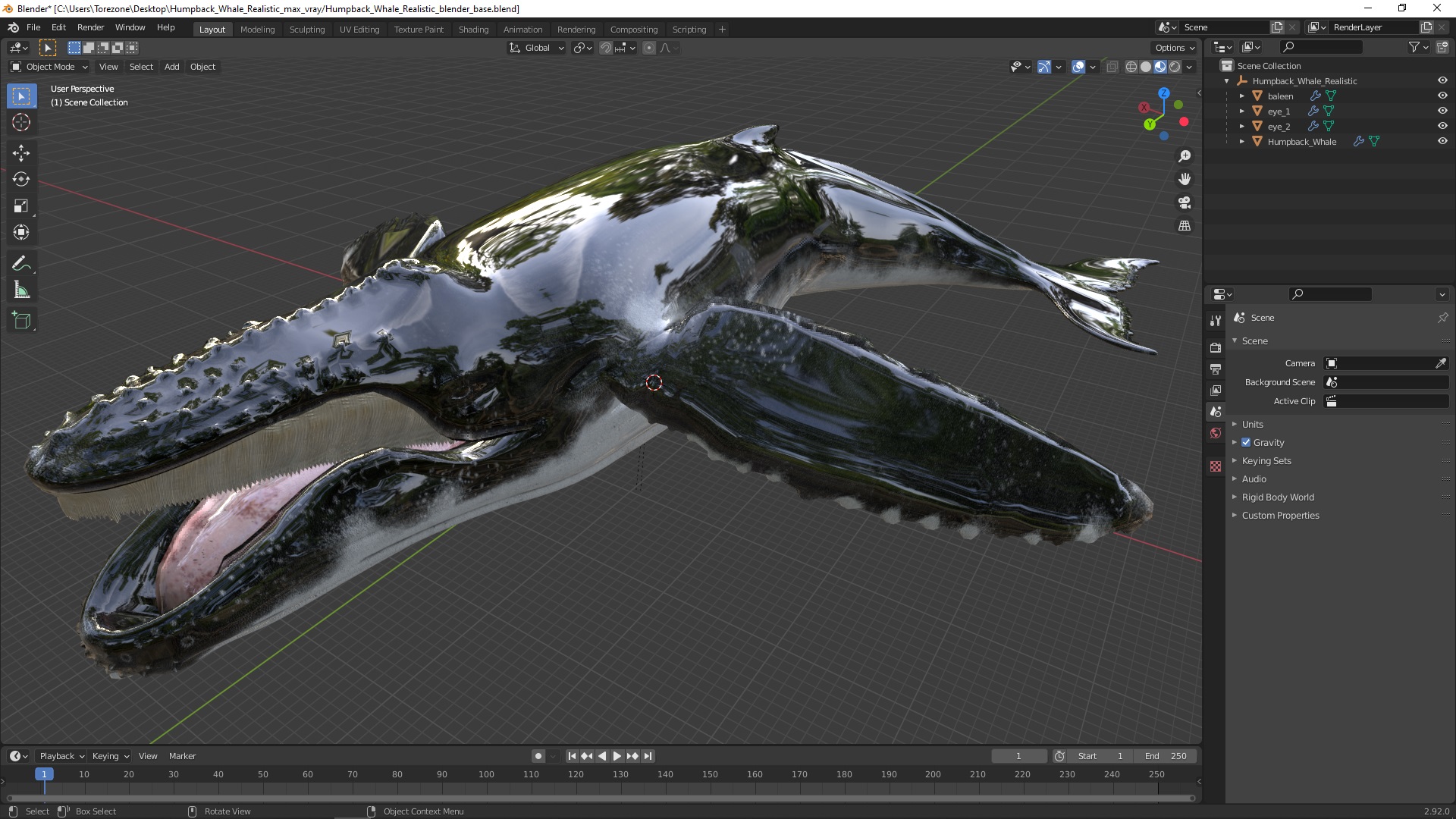 Humpback Whale Realistic 3D model