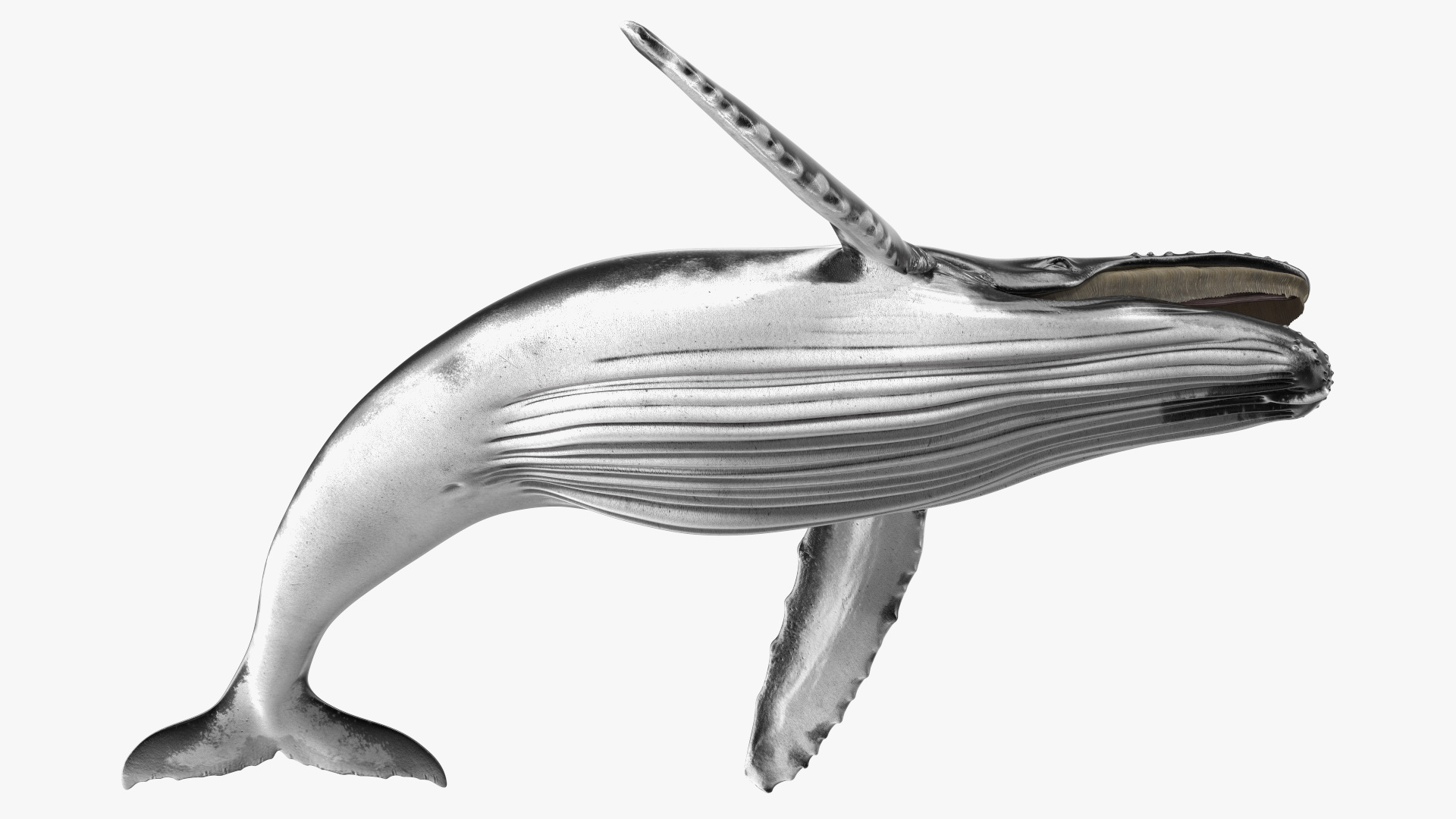 Humpback Whale Realistic 3D model
