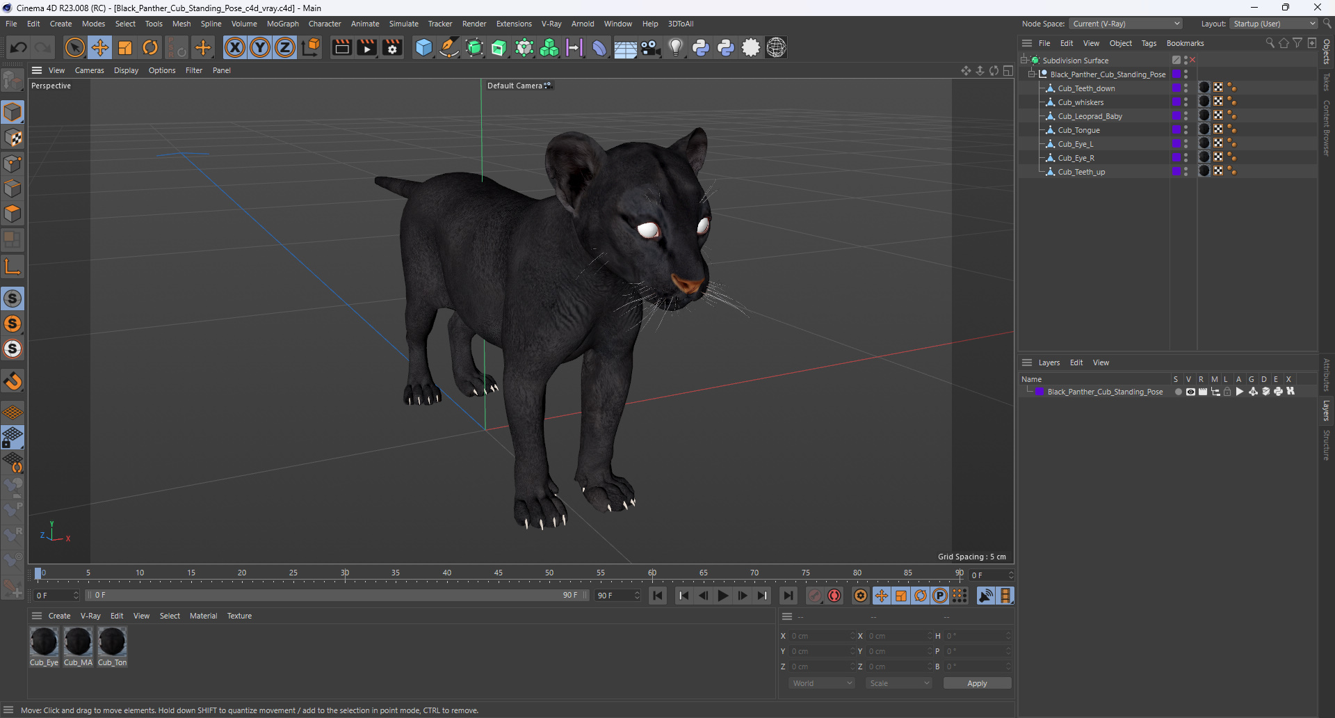 3D Black Panther Cub Standing Pose