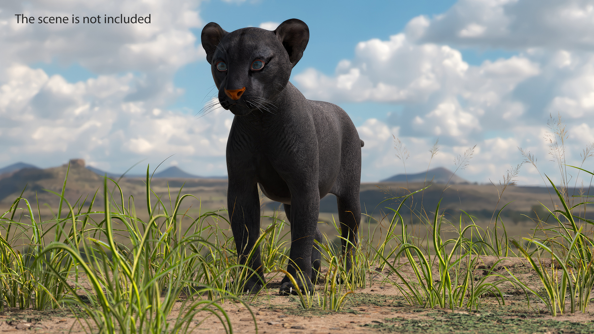 3D Black Panther Cub Standing Pose