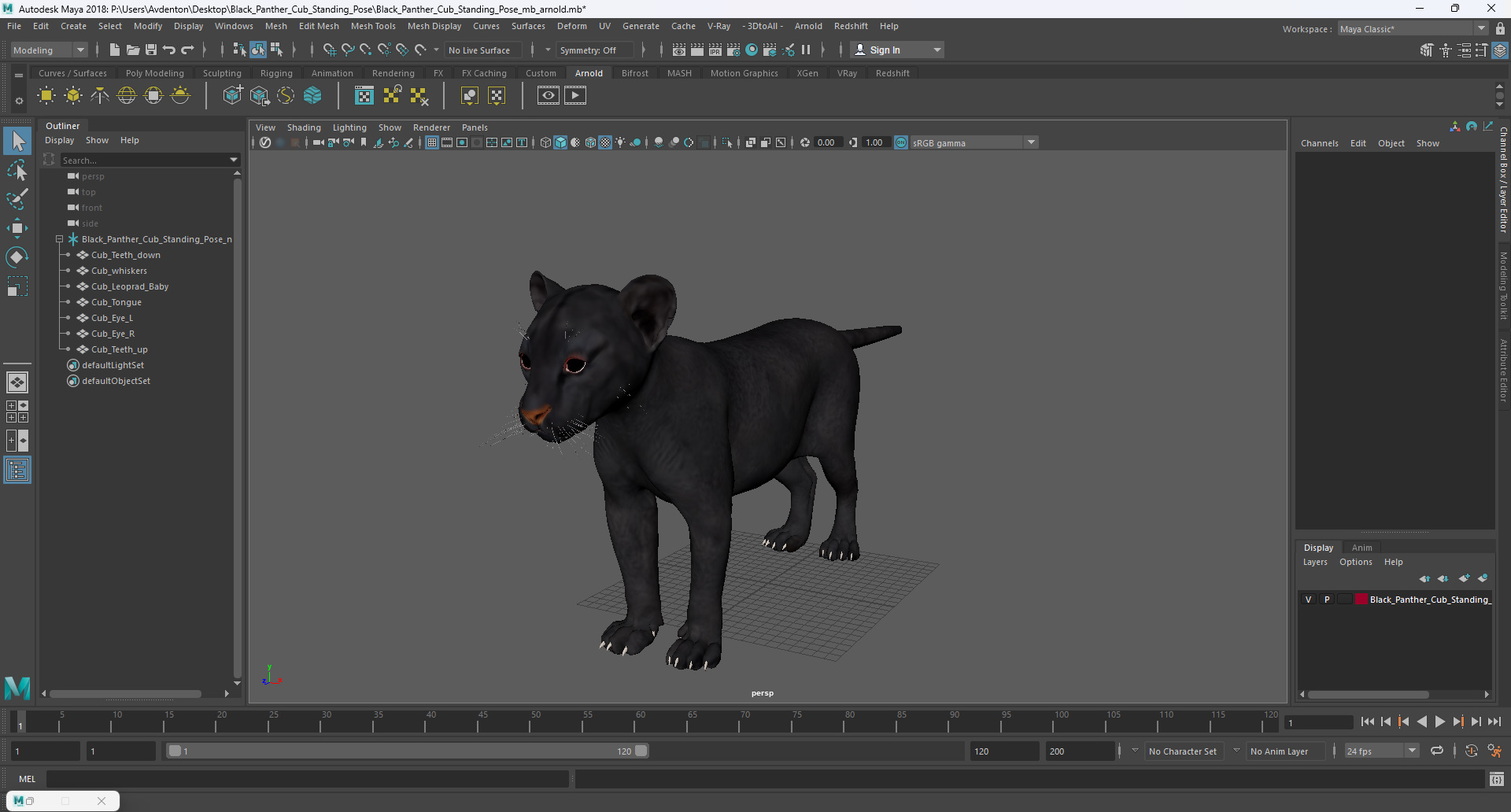 3D Black Panther Cub Standing Pose