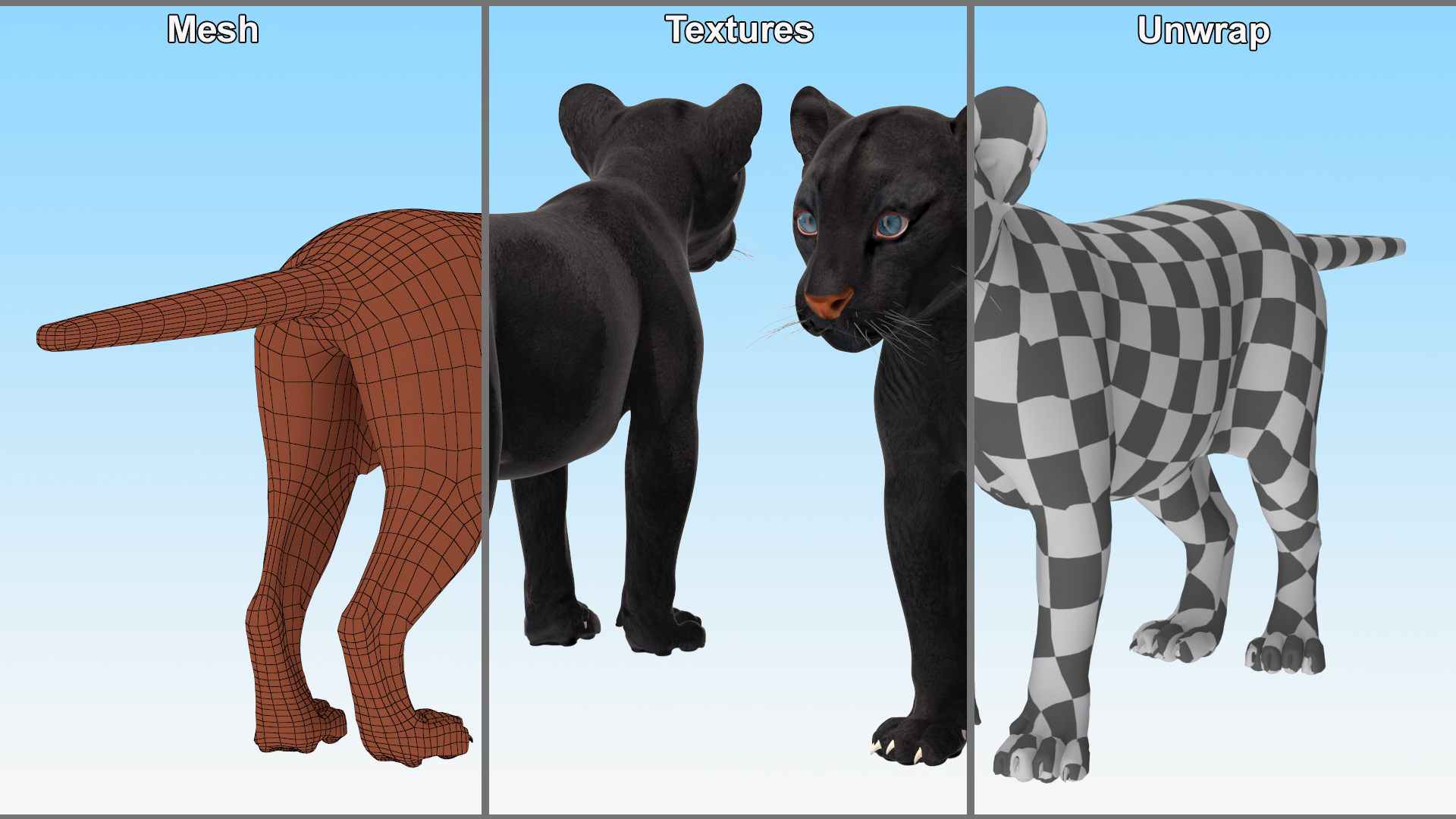 3D Black Panther Cub Standing Pose