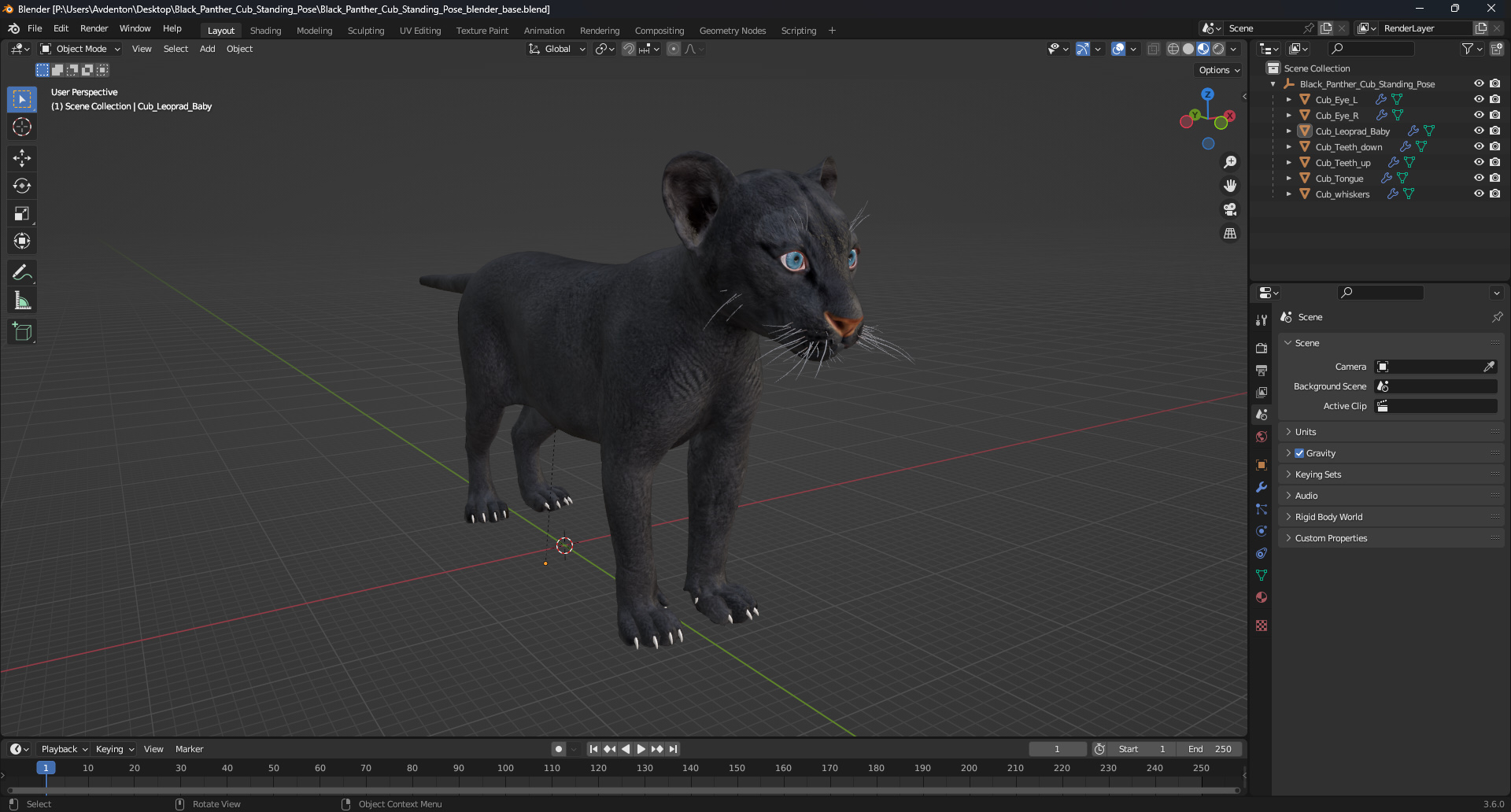 3D Black Panther Cub Standing Pose
