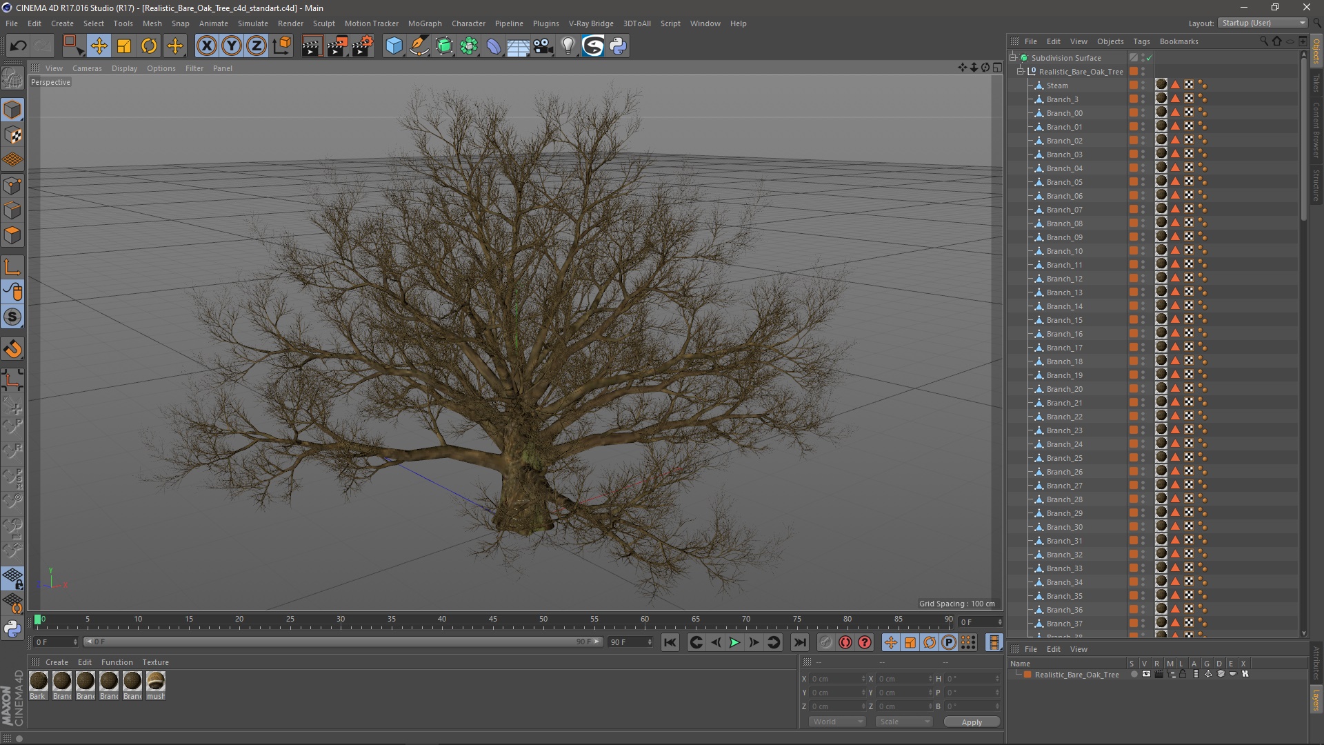 3D Realistic Bare Oak Tree model