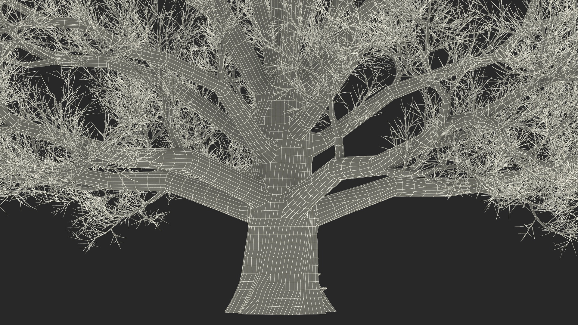 3D Realistic Bare Oak Tree model