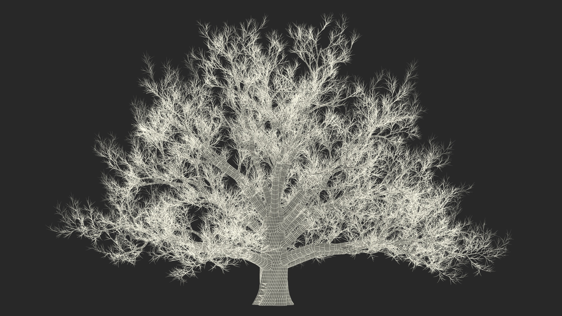 3D Realistic Bare Oak Tree model