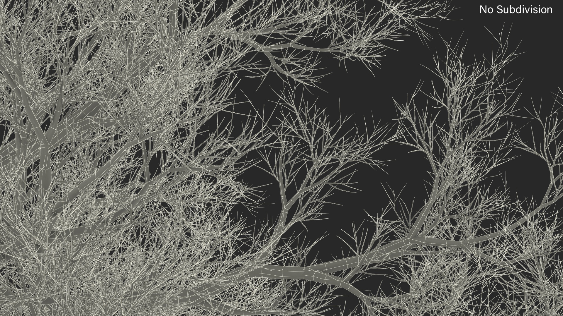 3D Realistic Bare Oak Tree model