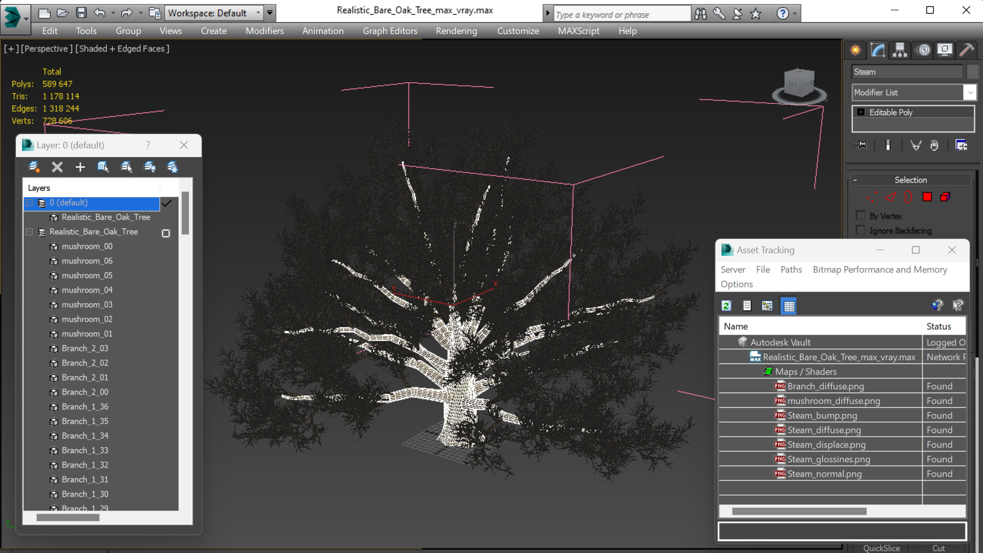 3D Realistic Bare Oak Tree model