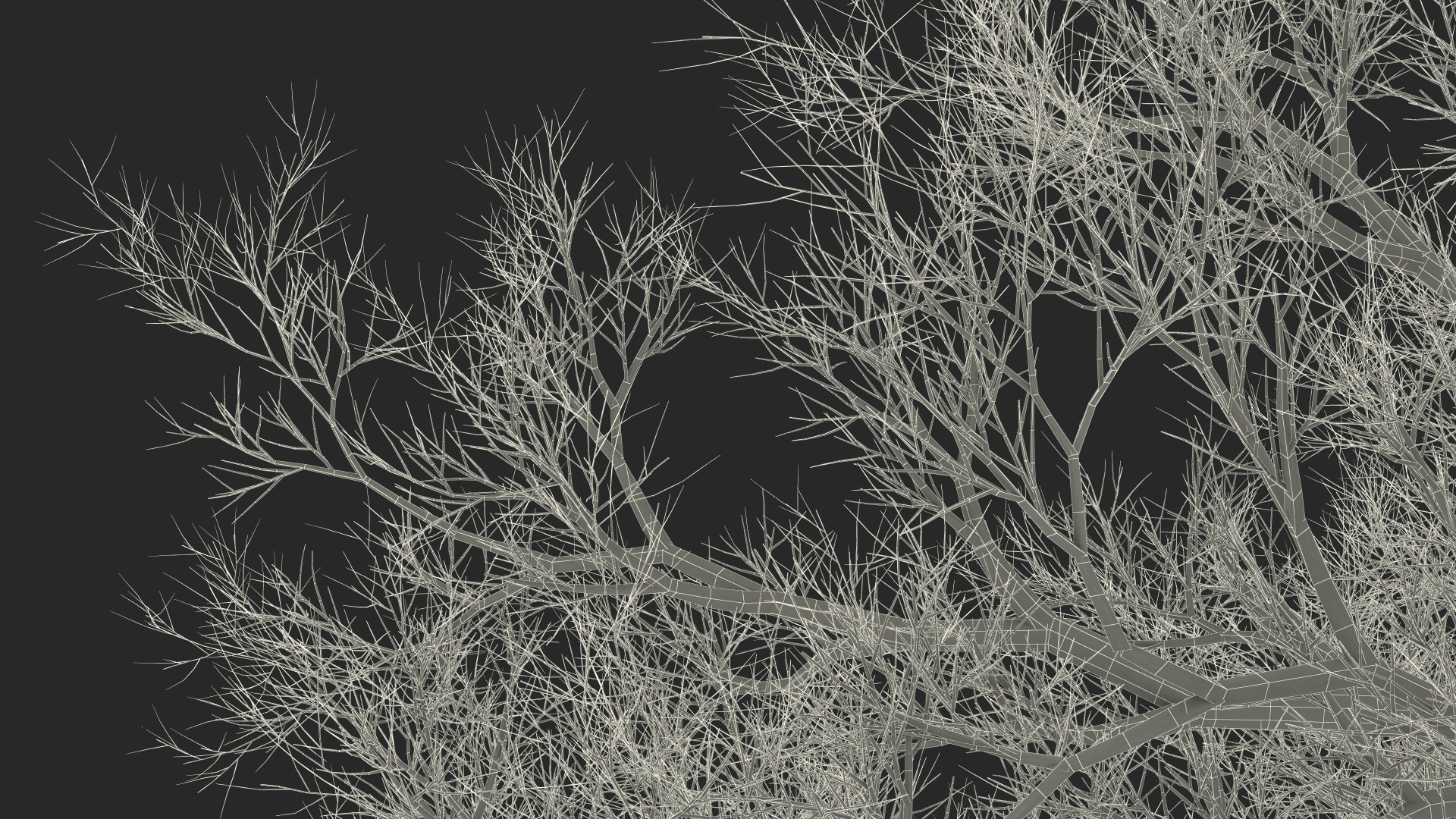 3D Realistic Bare Oak Tree model