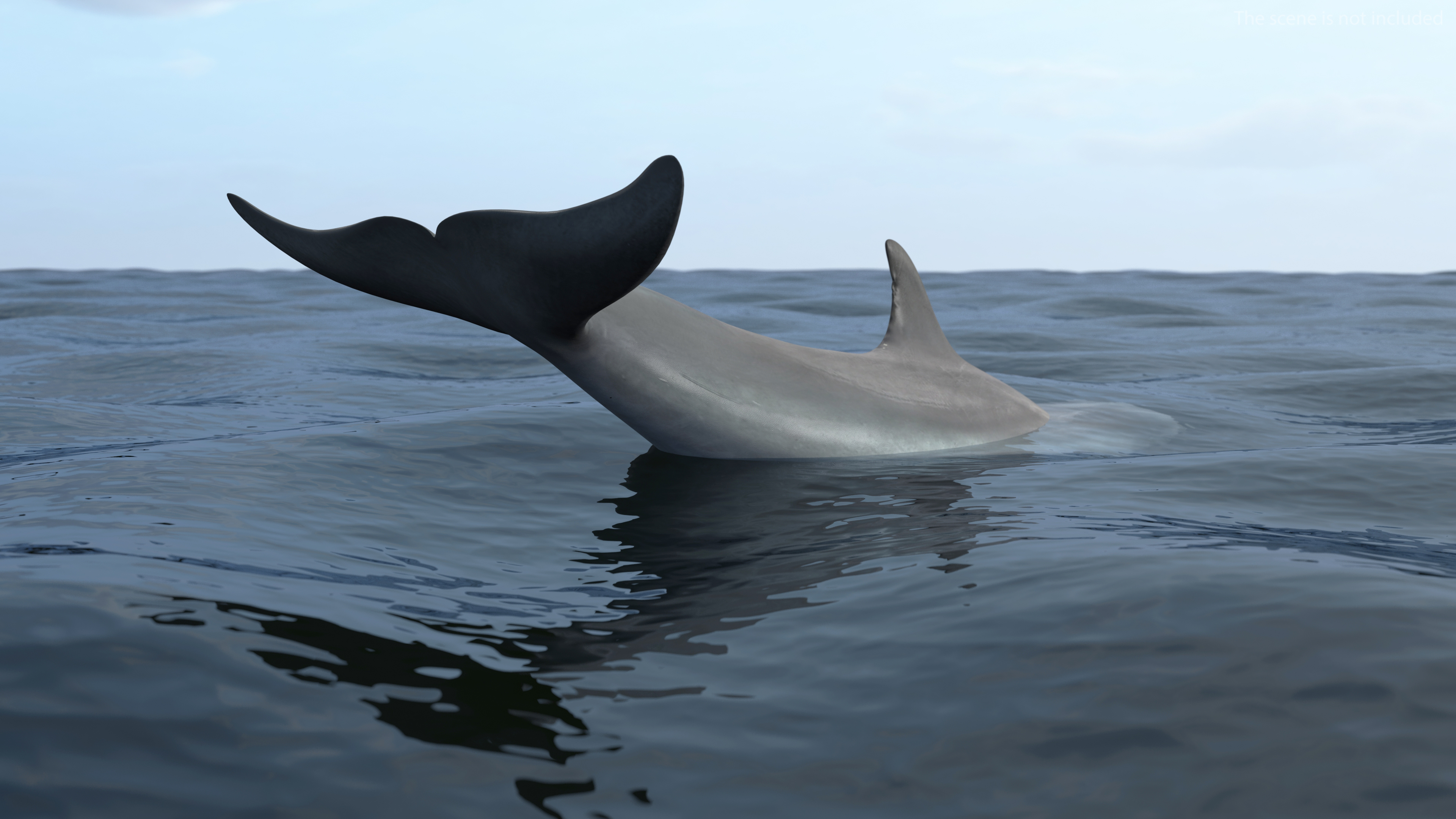 3D Dolphin Swimming And Jumping Animated for Cinema 4D